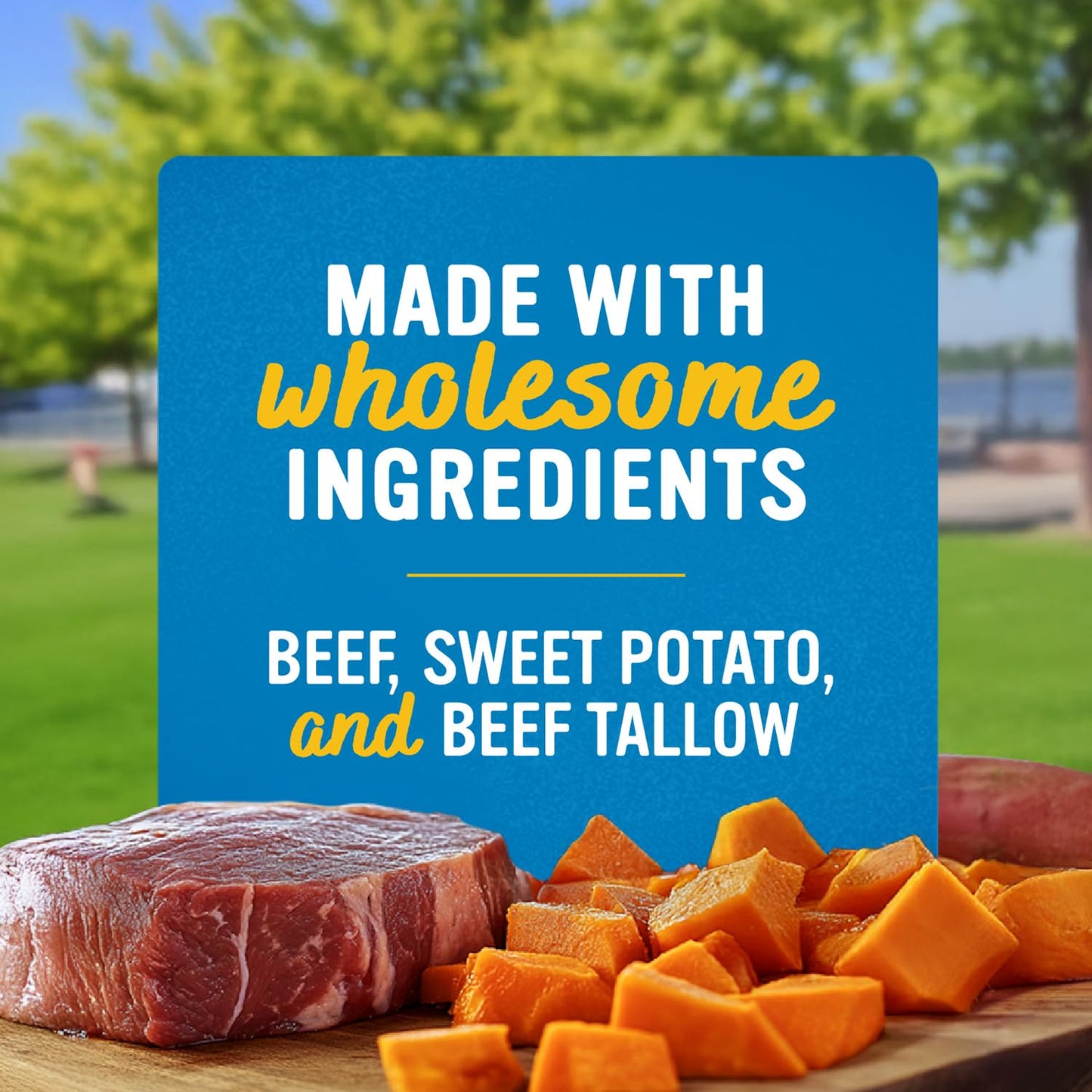 Blue Dog Bakery Perfect Trainers Treat | Small, Soft & Chewy Beef Flavor | Natural Healthy Dog Treats, 6 oz (Pack of 1)