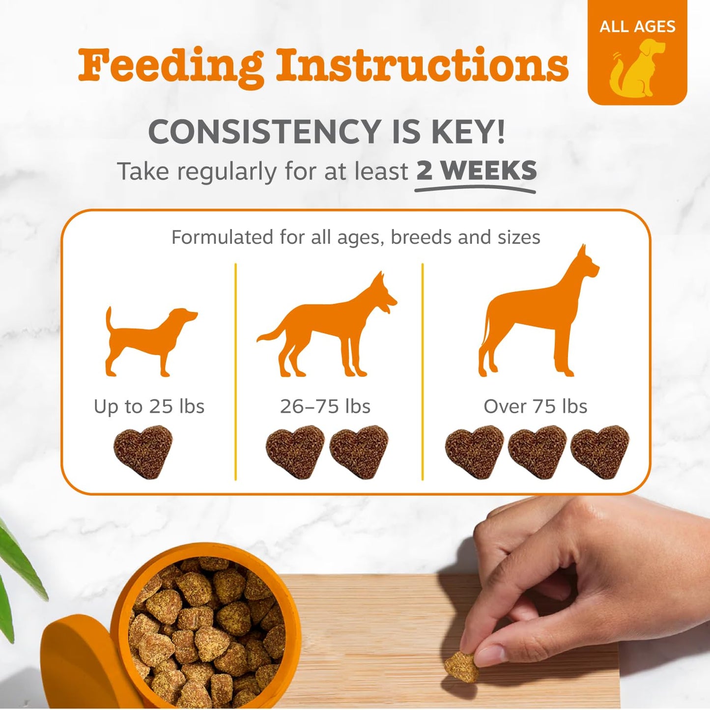 Zesty Paws Probiotic Bites Pumpkin + Multivitamin Powder for Dogs