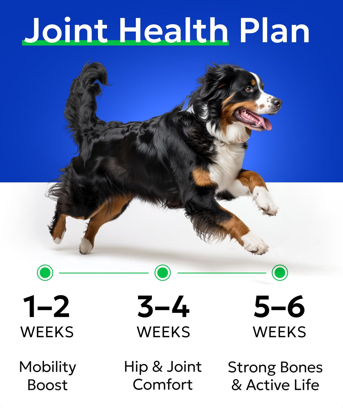 Bark&Spark Glucosamine Chondroitin Dog Hip & Joint Supplement - Joint Pain Relief - Hip & Joint Chews - Joint Support Large Small Breed - Senior Doggie Vitamin Pill Joint Health (120 Treats - Chicken)