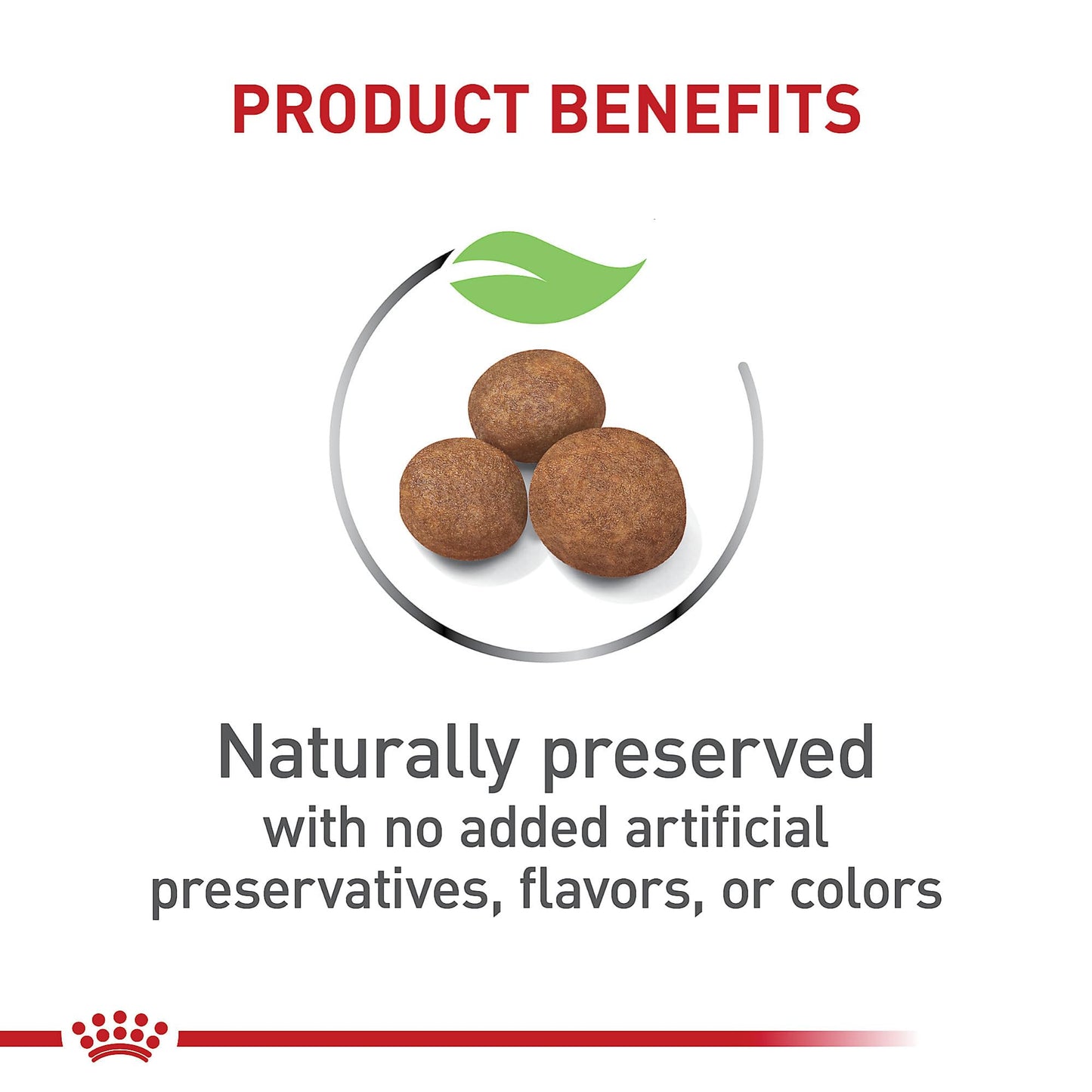 Royal Canin Size Health Nutrition Large Puppy Dry Dog Food, 4 lb Bag