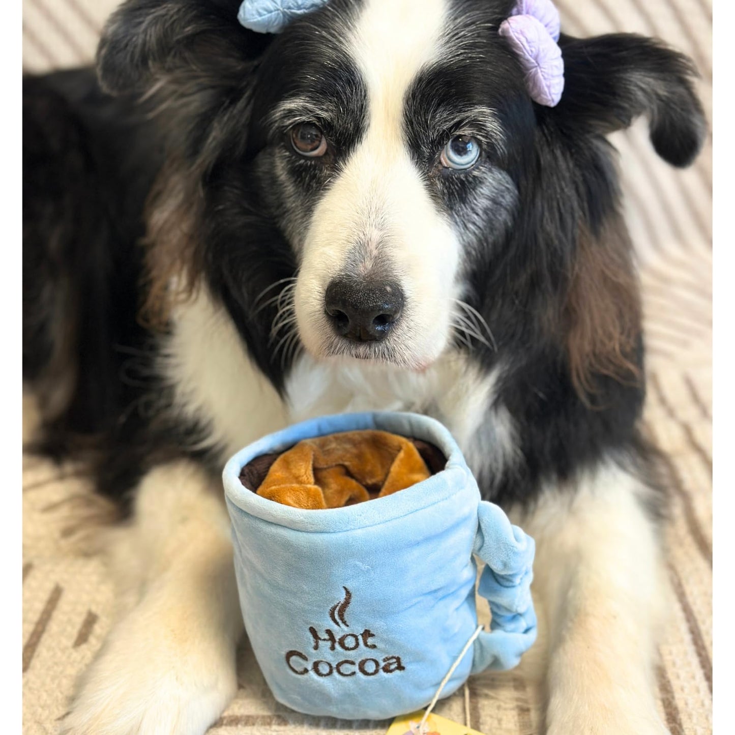 Native Pet Calming Chews for Dogs - Melatonin for Dogs Anxiety Relief - Grain Free All Natural Hemp Calming Treats & L-Theanine Helps Manage Stress & Separation Anxiety - Puppy Sleep Aid - 30 Chews