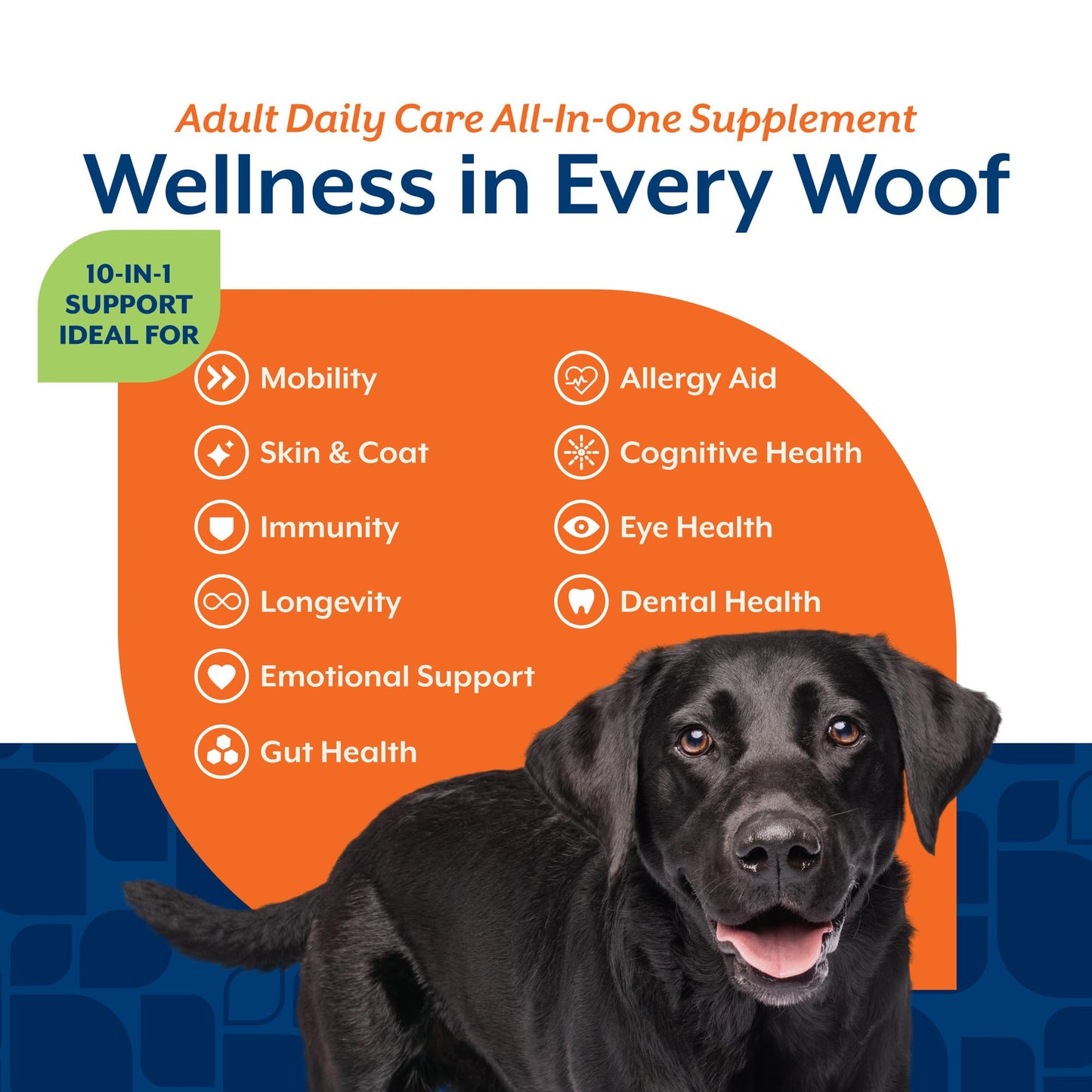 NaturVet All-in-One Adult Dog Daily Care, 10-in-1 Supplement Dog Soft Chews for Mobility, Skin, Digestion, Teeth, Cognition, Eyes, Hickory Smoked Bacon Flavored Pet Supplement for Dogs, 60 Count