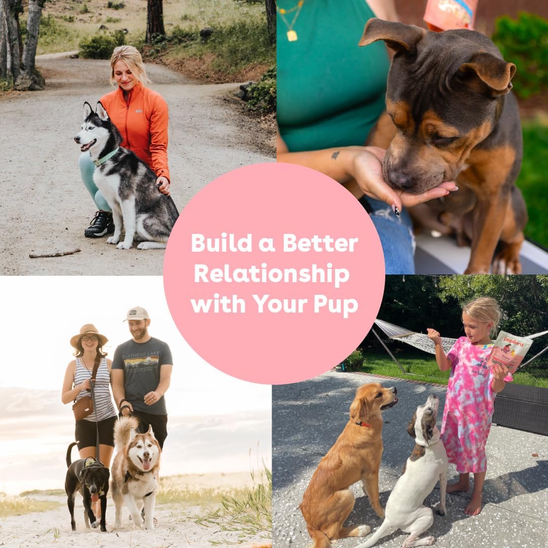 Cloud Star Buddy Biscuits Softies 5 oz Pouch, Grain-Free Soft & Chewy, Natural Grilled Beef Flavor Dog Treats, Oven Baked in The USA (Pack of 2)