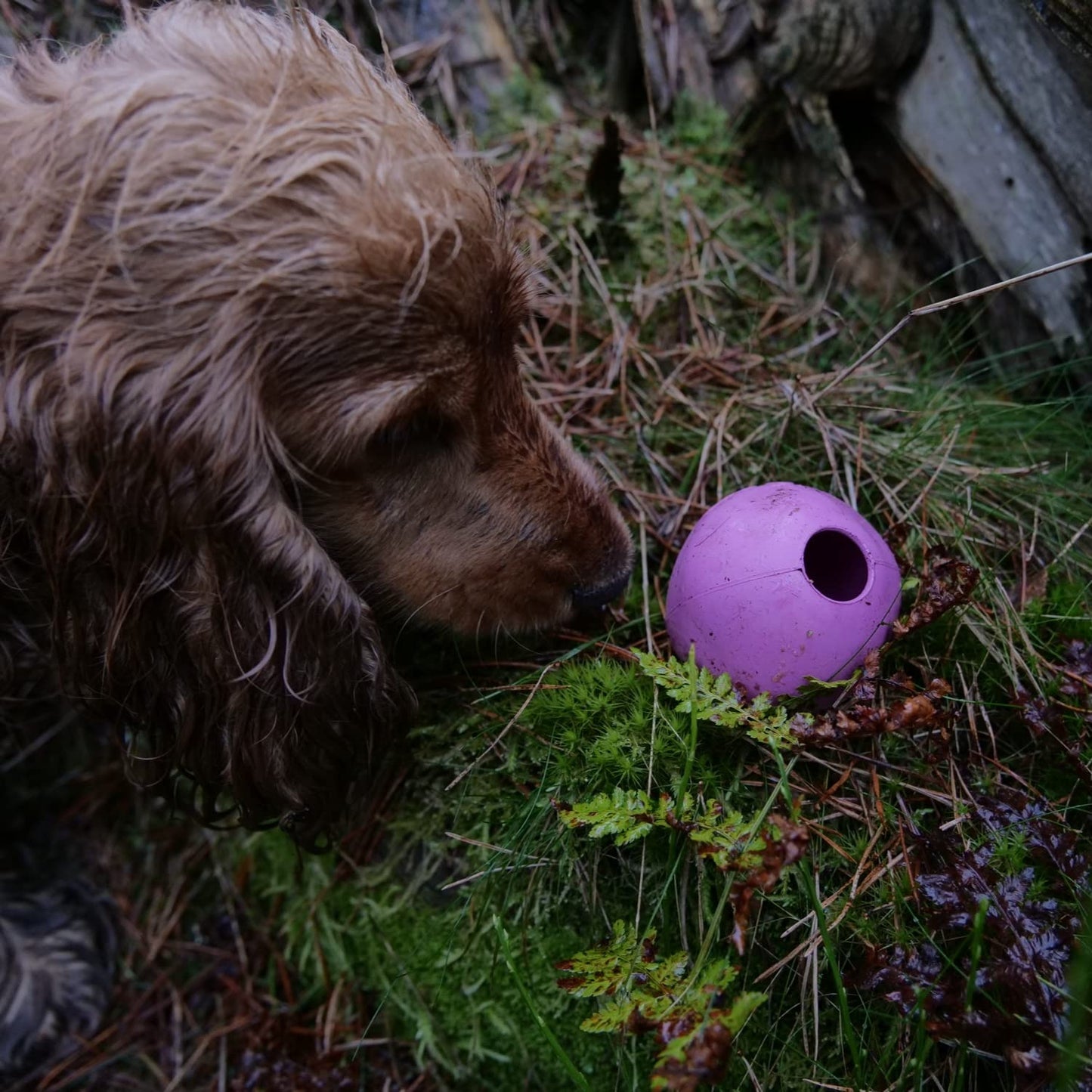 Beco Rubber Ball, Treat Dispensing Dog Toy, Green, Small