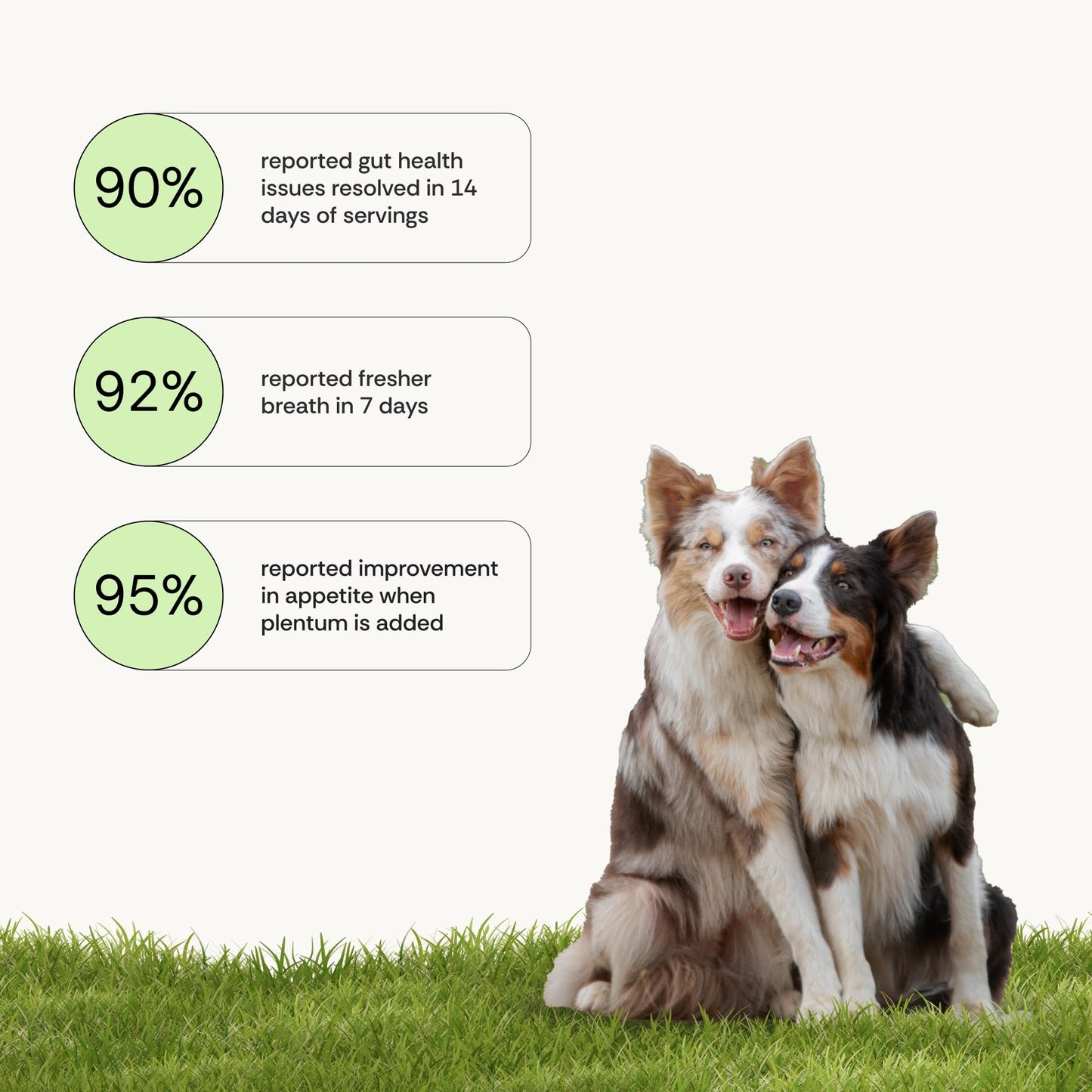 Daily Prebiotic + Postbiotic Dog Supplement Powder | 12-in-1 Support for Gut, Joints, Allergy, Immunity, Calming & Oral Health | Human-Grade Ingredients, No Artificial Flavors-No Fillers - 30 Sachets