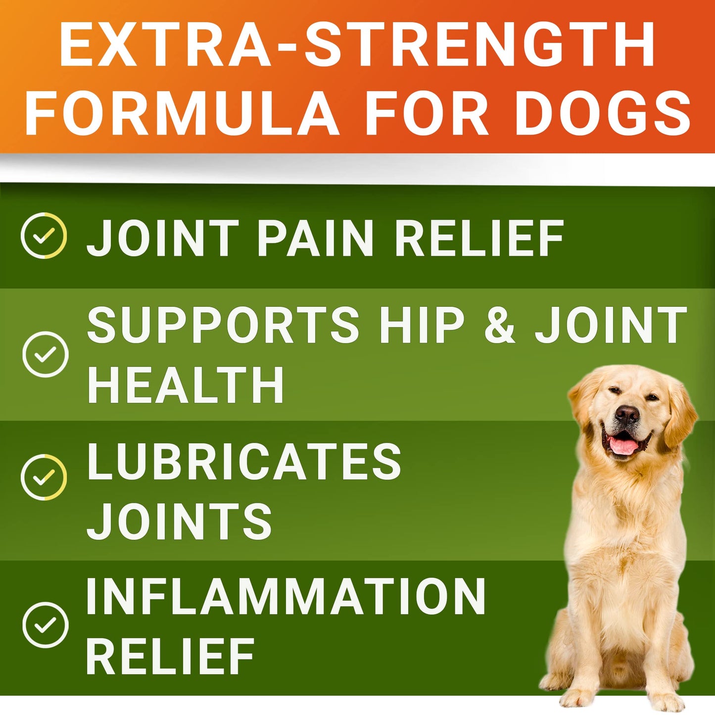 Allergy Relief + Advanced Glucosamine for Dogs Bundle - Itchy Skin Treatment + Hip & Joint Pain Relief - Omega 3 & Pumpkin + Chondroitin, MSM - Allergy Supplement, Hotspot Relief - 240ct - Made in USA