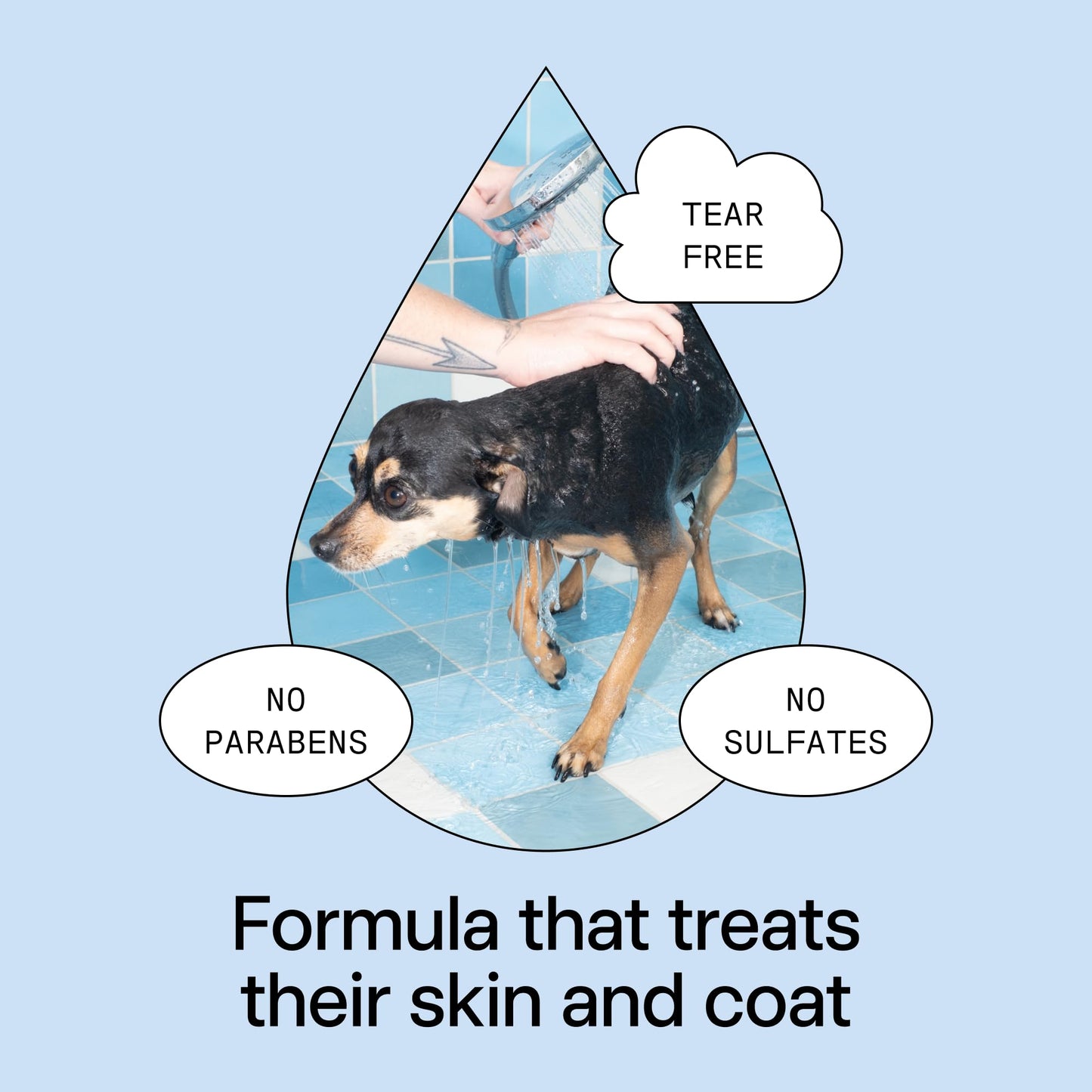 DedCool Pet Shampoo | 01 Taunt Scent | Hypoallergenic, Tear-Free Dog & Cat Wash for Sensitive Skin, Dryness & Itch Relief | Vegan, Non-Toxic, Deodorizing Cleanser | 16.9oz