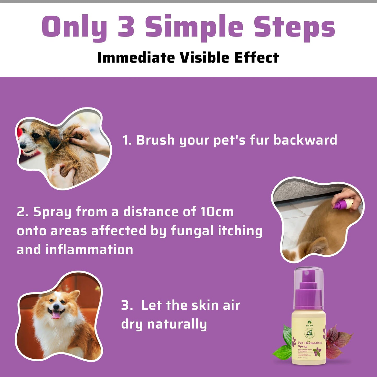 PE4U Pet Relief Spray for Dogs & Cats - Natural Perilla Leaf Extract, Safe for Sensitive Skin - Soothes Itching, Reduces Dermatitis, Protects & Refreshes - [Spray + Shampoo + GIF]