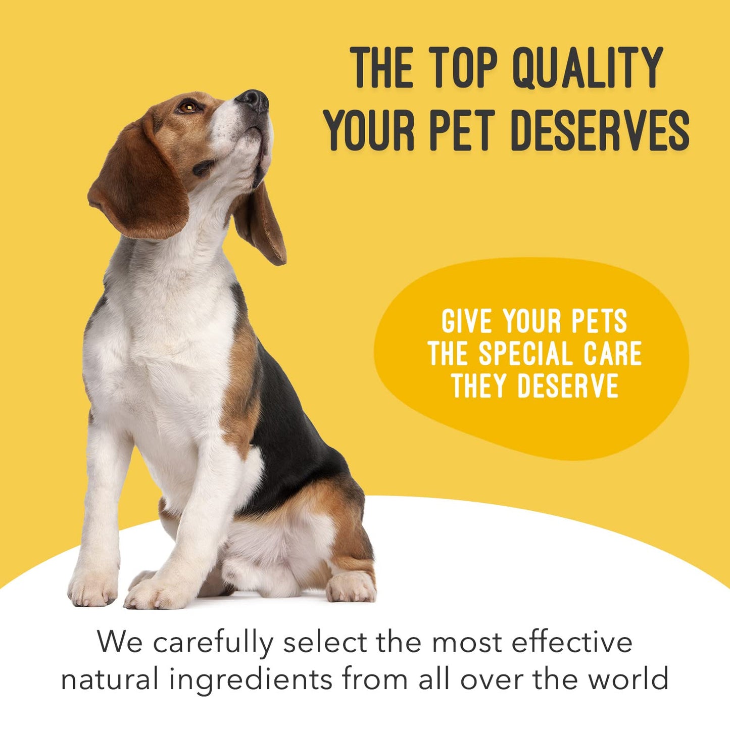 ArthriMAXX Dog Supplement for Joint Inflammation & Arthritis, Naturally Potent Dog Joint Care, Antioxidant Formula with MSM, Chondroitin, Vitamin C, & Glucosamine for Dogs, 32 fl oz