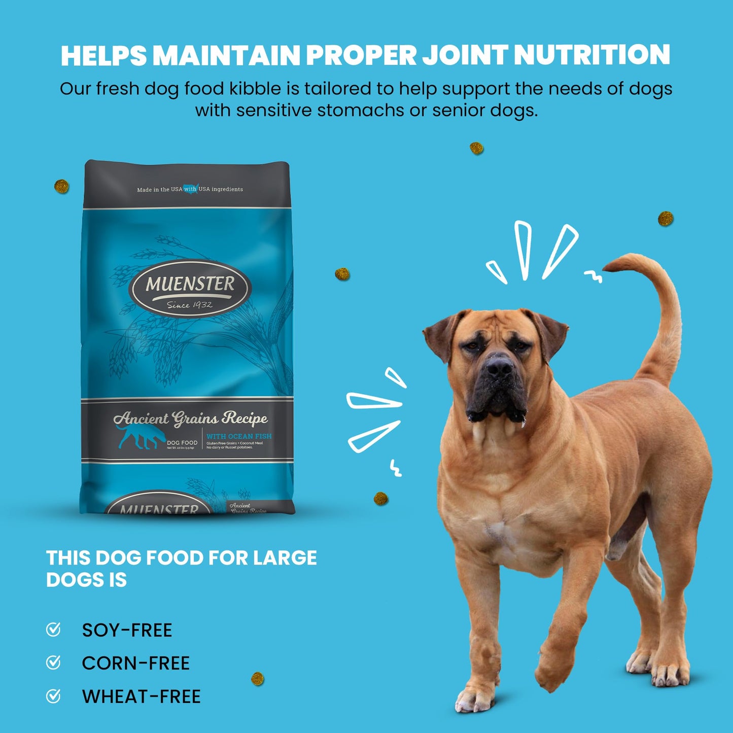 Muenster Ancient Grains Ocean Fish Dry Dog Food, 4lb - Gluten-Free, High Protein, Digestive Support