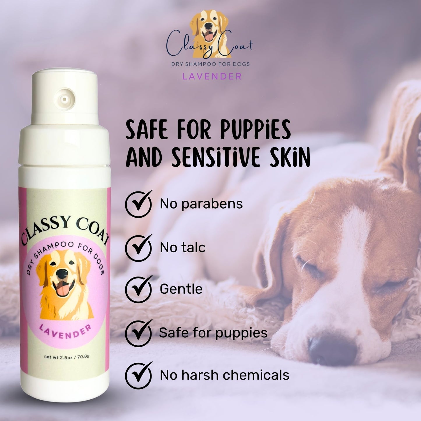 Classy Coat Dry Shampoo for Dogs (Lavender) | Waterless No-Rinse Spray Powder | Calming Lavender Scent | Soothing | Talc and Alcohol Free | Safe for Sensitive Skin | Made in USA