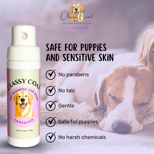 Classy Coat Dry Shampoo for Dogs (Lavender) | Waterless No-Rinse Spray Powder | Calming Lavender Scent | Soothing | Talc and Alcohol Free | Safe for Sensitive Skin | Made in USA