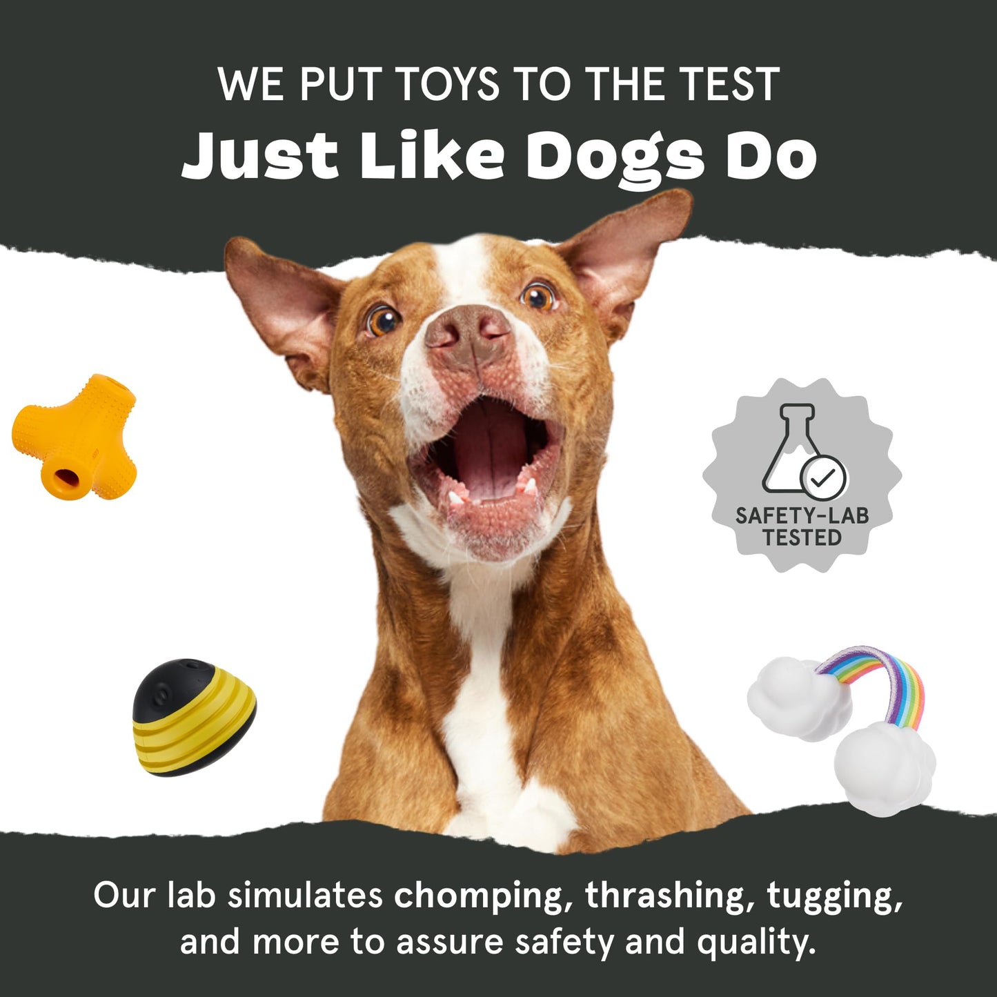 Barkbox Hambone Super Chewer Tough Dog Chew Toy for Aggressive Chewers, Plush Cover with Rubber Core - 2 Toys in 1 – Two Layer Treat Dispensing Dog Toy for Large Dogs
