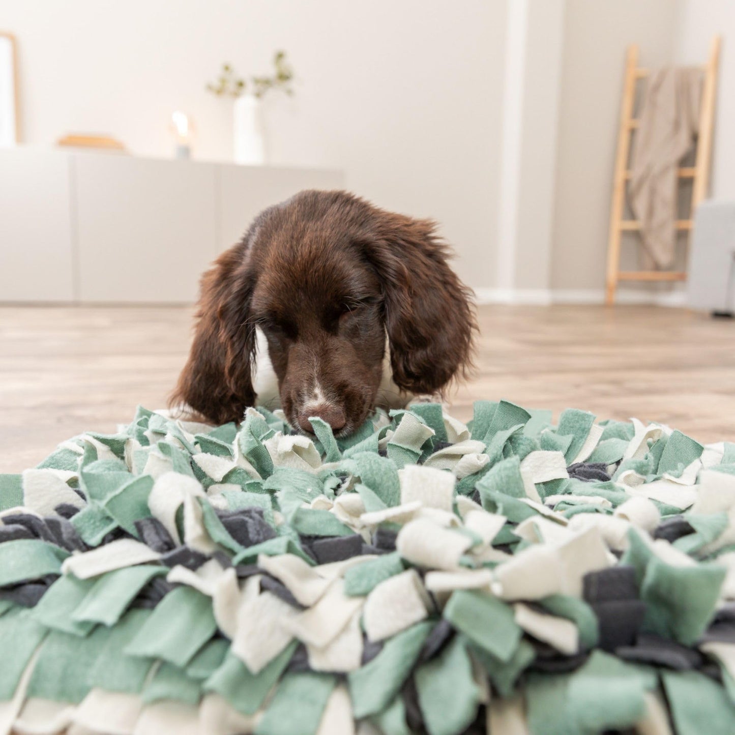 TRIXIE Snuffle Mat for Dogs, Level 1 Interactive Dog Toys, Slow Feeder Puzzle, Foraging Training