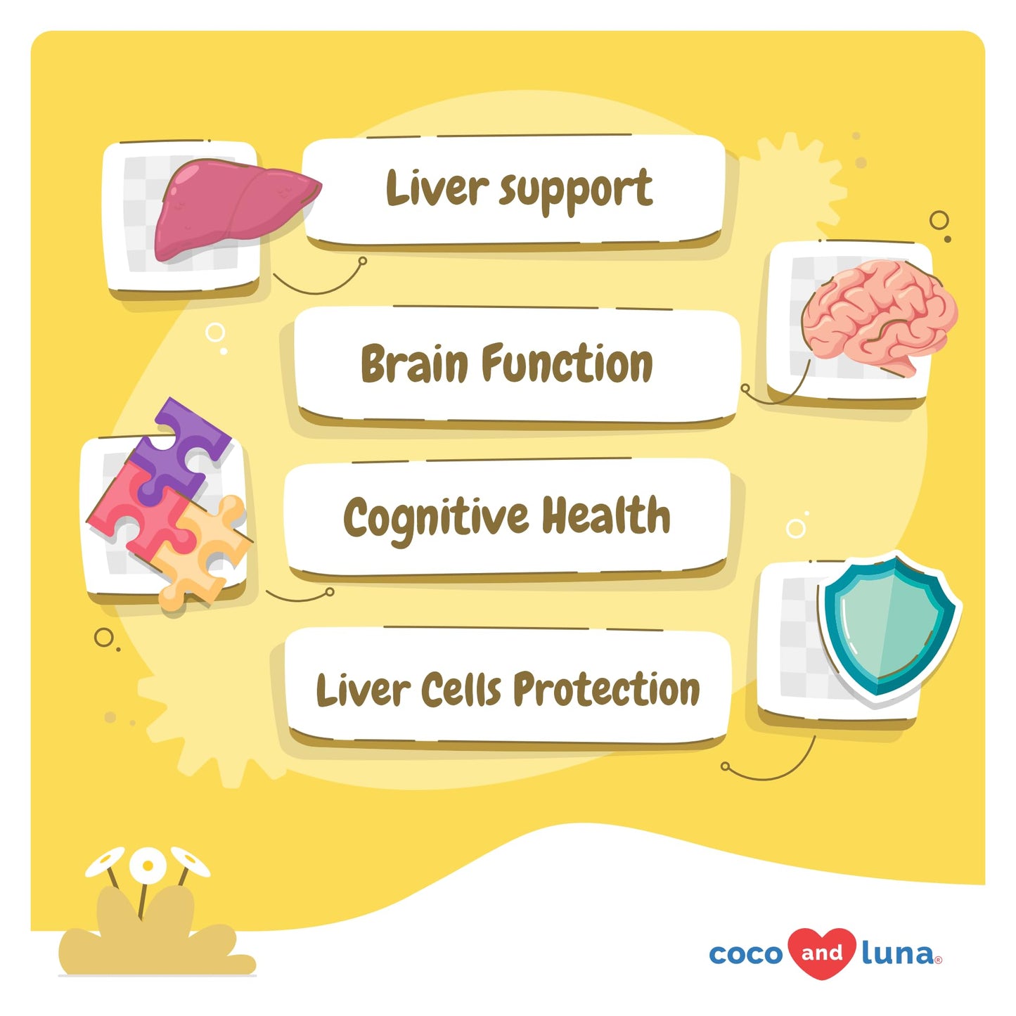 Same for Dogs - 90 Soft Chews - S-Adenosyl-L-Methionine, Liver Supplement - Brain Health, Promotes Cognitive Support, Liver Support (Same Soft Chews)