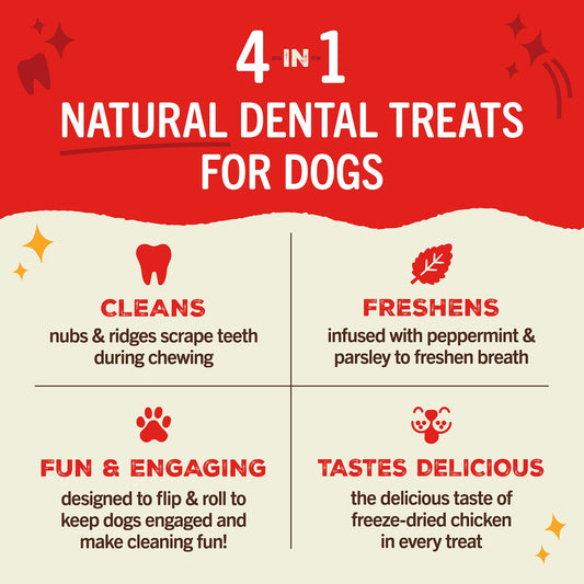 Stella & Chewy's Dental Delights - Freeze-Dried Raw Chicken Dental Treats for Small Dogs - Teeth Cleaning & Breath Freshening Chews with Ridges & Nubs - Made in USA - 5.5 oz - 11 Small Treats