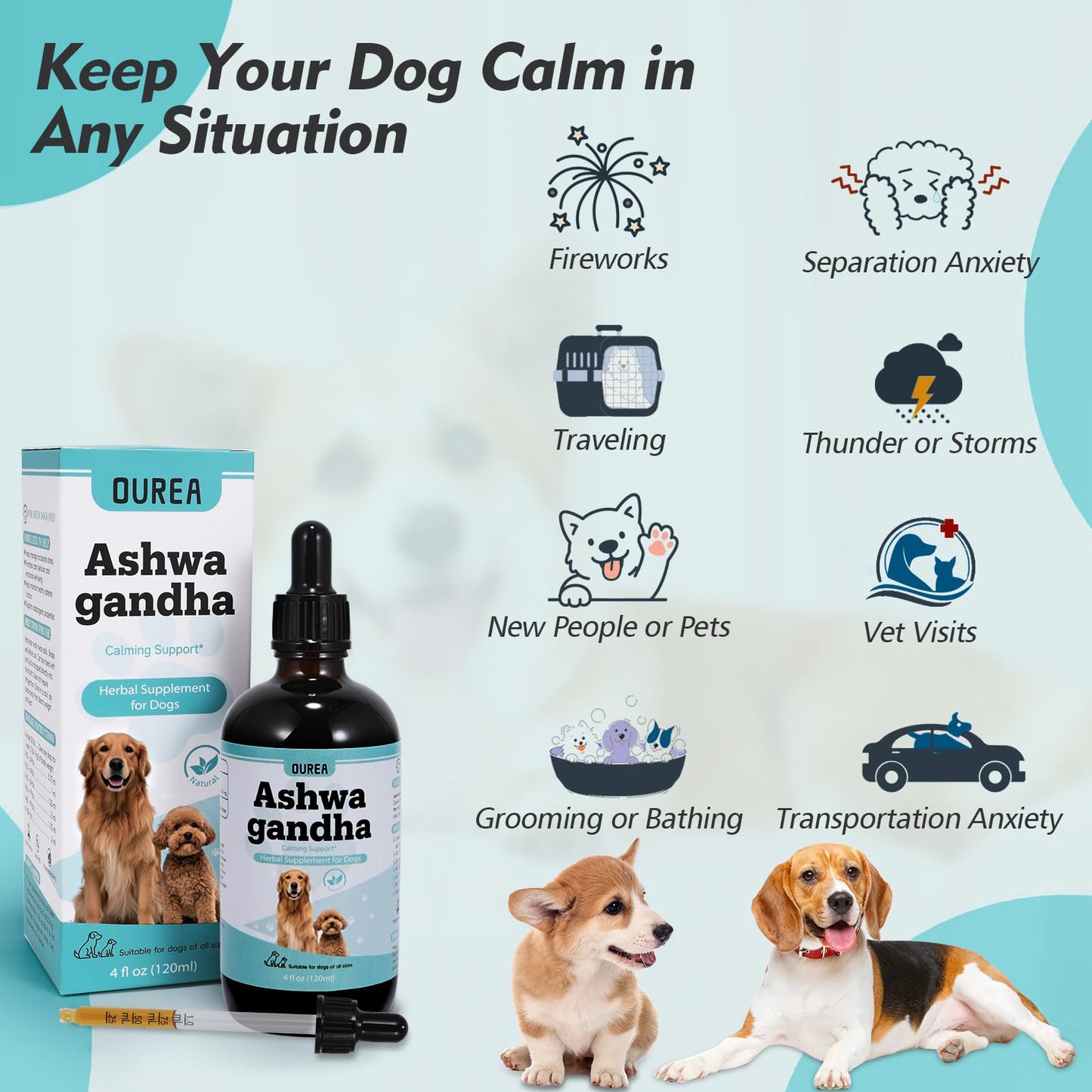 Ashwagandha Drops for Dogs, Calming Drops for Dogs with Ashwagandha Tincture, Supports Composure, Calmness, Relaxation & Emotional Balance, Dog Anxiety Relief from Fireworks, Storms, Separation & More
