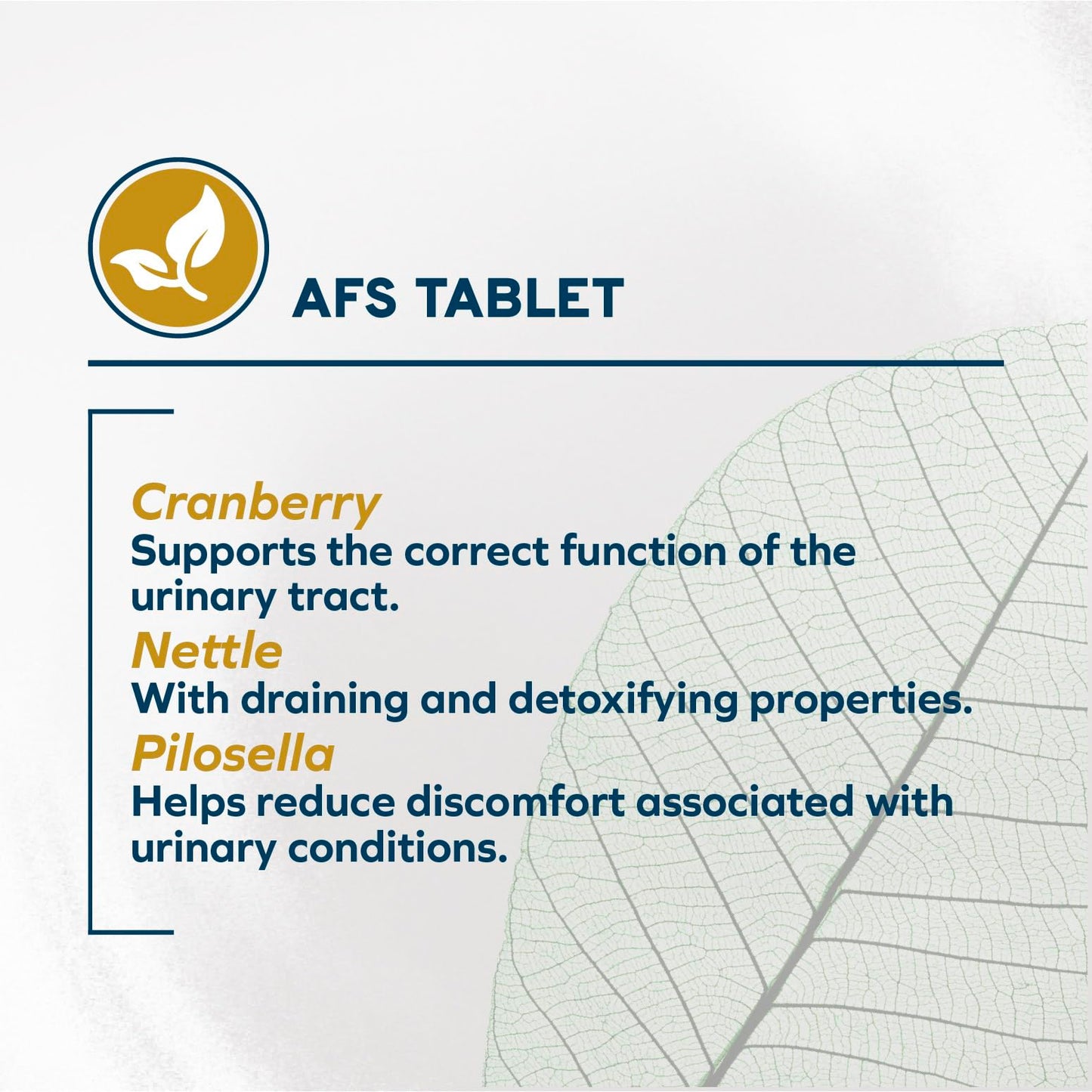 Forza10 Active Urinary Care Dog Food - 22 Pounds, Limited Ingredient Dry Dog Food for Urinary Support, UTI and Struvite Stone Management with Fish Protein & Cranberry, Fish Flavor