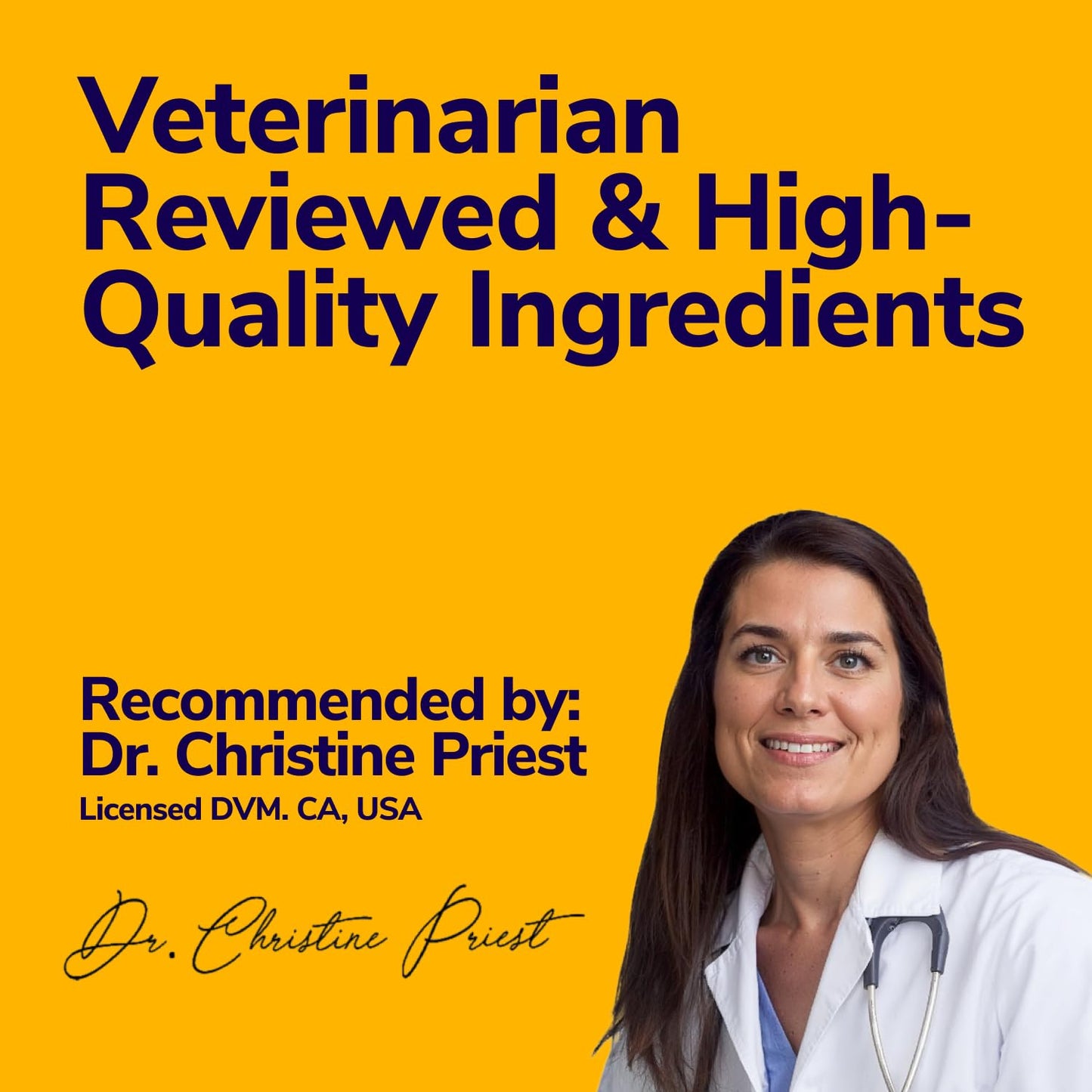 Miracle Vet Medicated Dog Shampoo for Itchy Skin Relief - Yeast Infection Treatment for Dogs & Dog Allergy Relief Hot Spot Treatment - Hydrocortisone Antifungal Shampoo (16 oz)