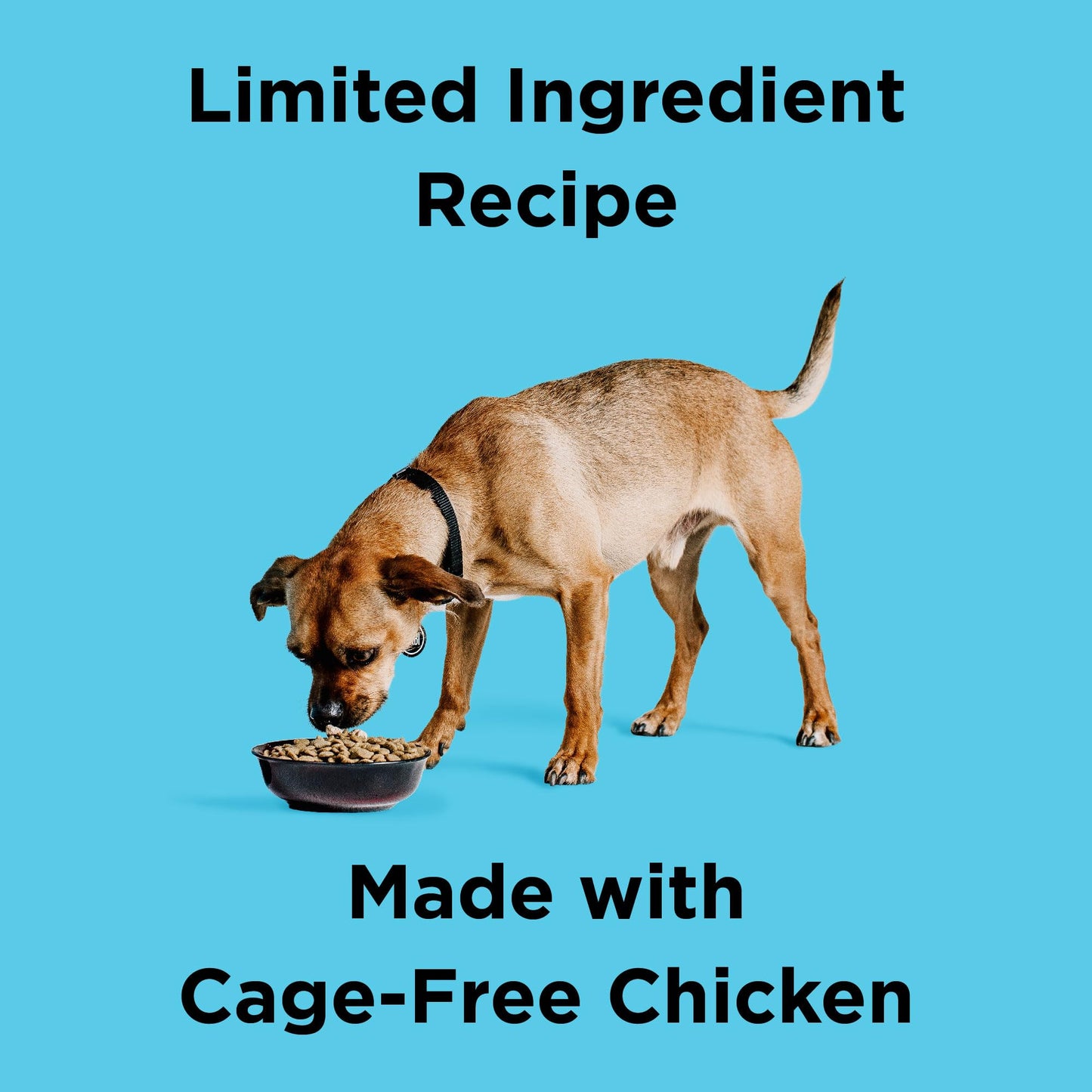 BIXBI Liberty Grain Free Dry Dog Food, Chicken Recipe, 4 lbs - Fresh Meat, No Meat Meal, No Fillers for Easy Digestion - USA Made