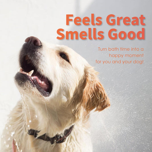 Arf Arf Oatmeal Dog Shampoo for Itchy Skin and Allergies - Soothing Oatmeal Formula Provides Anti Itch Relief for Dry, Sensitive Skin - Hypoallergenic Calming Wash for All Breeds - 16oz
