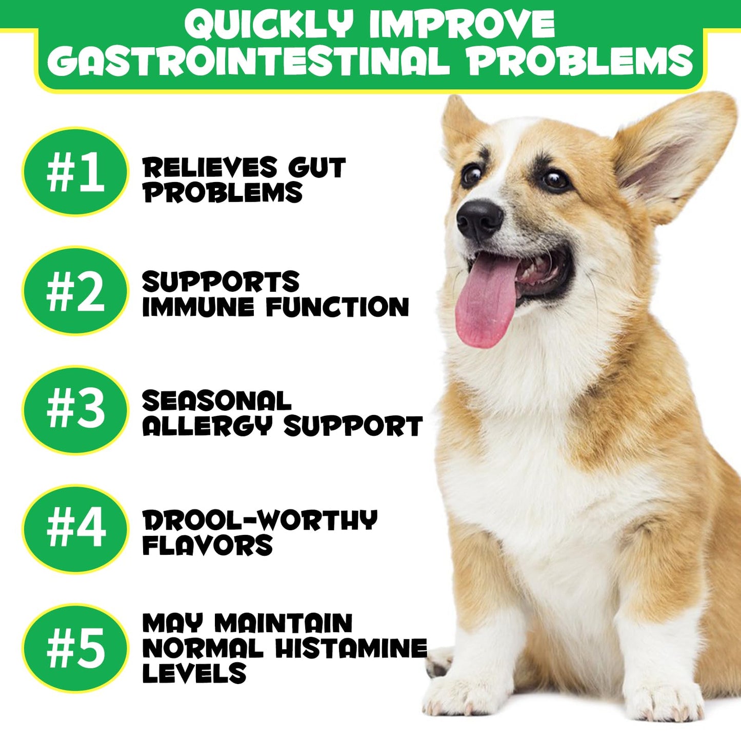 Probiotics for Dogs - Pre & Probiotic Digestive Treats for Dog, Support Gut Health, Seasonal Allergies, Itchy Ears, Dog Supplement Soft Chews, Immune Function Support for Dogs - 120pc/Duck Flavor