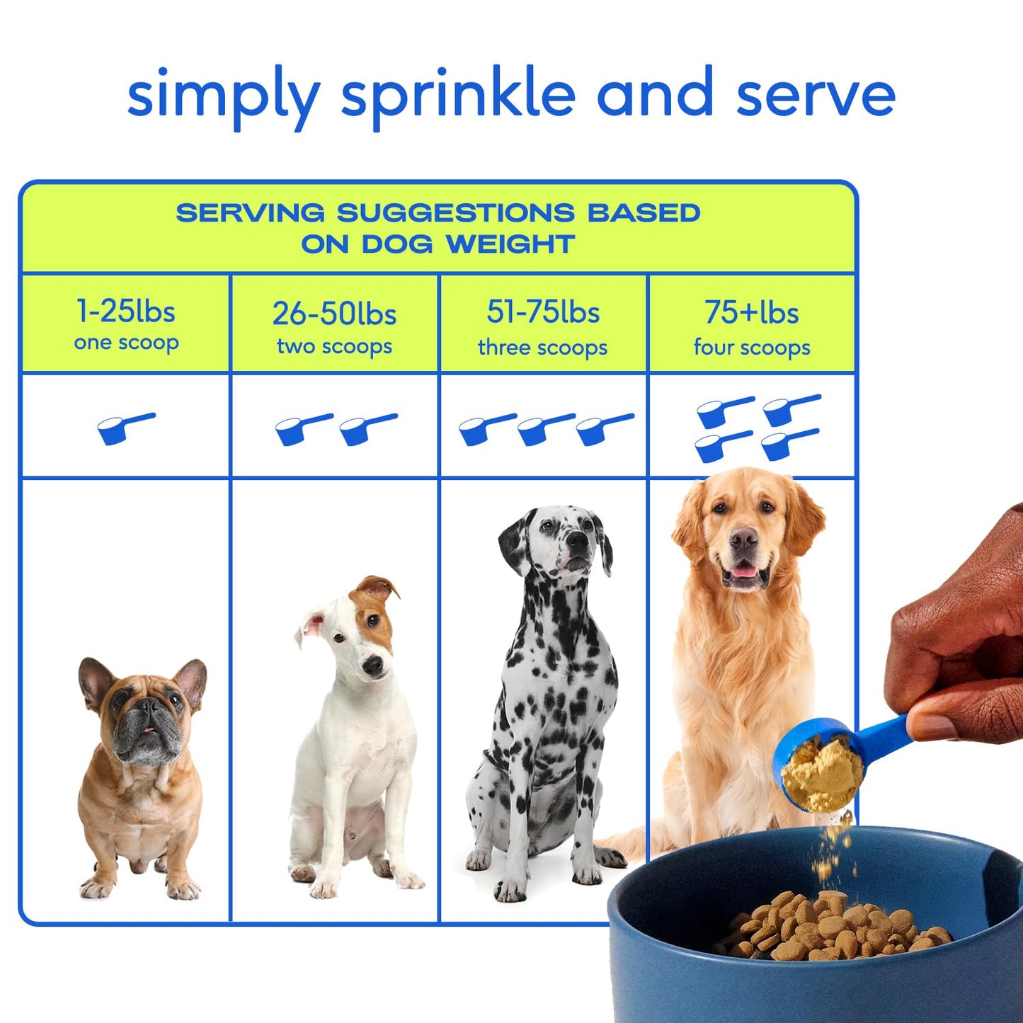 Native Pet Full-Body Wellness Duo: Turkey Bone Broth Powder for Dogs (96 Servings) & Daily Dog Multivitamin (30 Scoops) - Daily 11-in-1 Multivitamin and Pet Gravy Food Topper for Picky Eaters