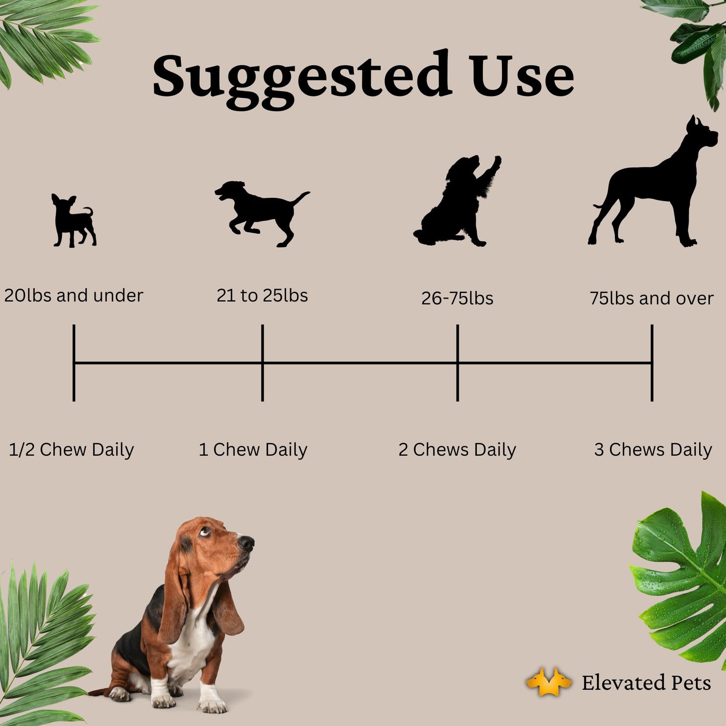 Elevated Pets Calming Dog Treats for Anxiety Relief – Melatonin, Chamomile & L-Theanine | Sleep & Stress Support for Travel, Thunder, Barking