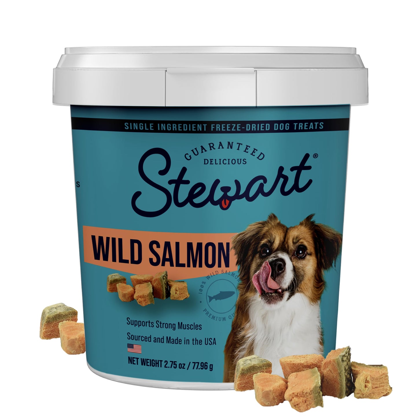 Stewart Single Ingredient Freeze Dried Raw Dog Treats, Wild Salmon, 2.75 Ounce, Approx. 55 Pieces per Resealable Tub, Training Treats or Meal Topper, High Protein, Grain Free, Gluten Free