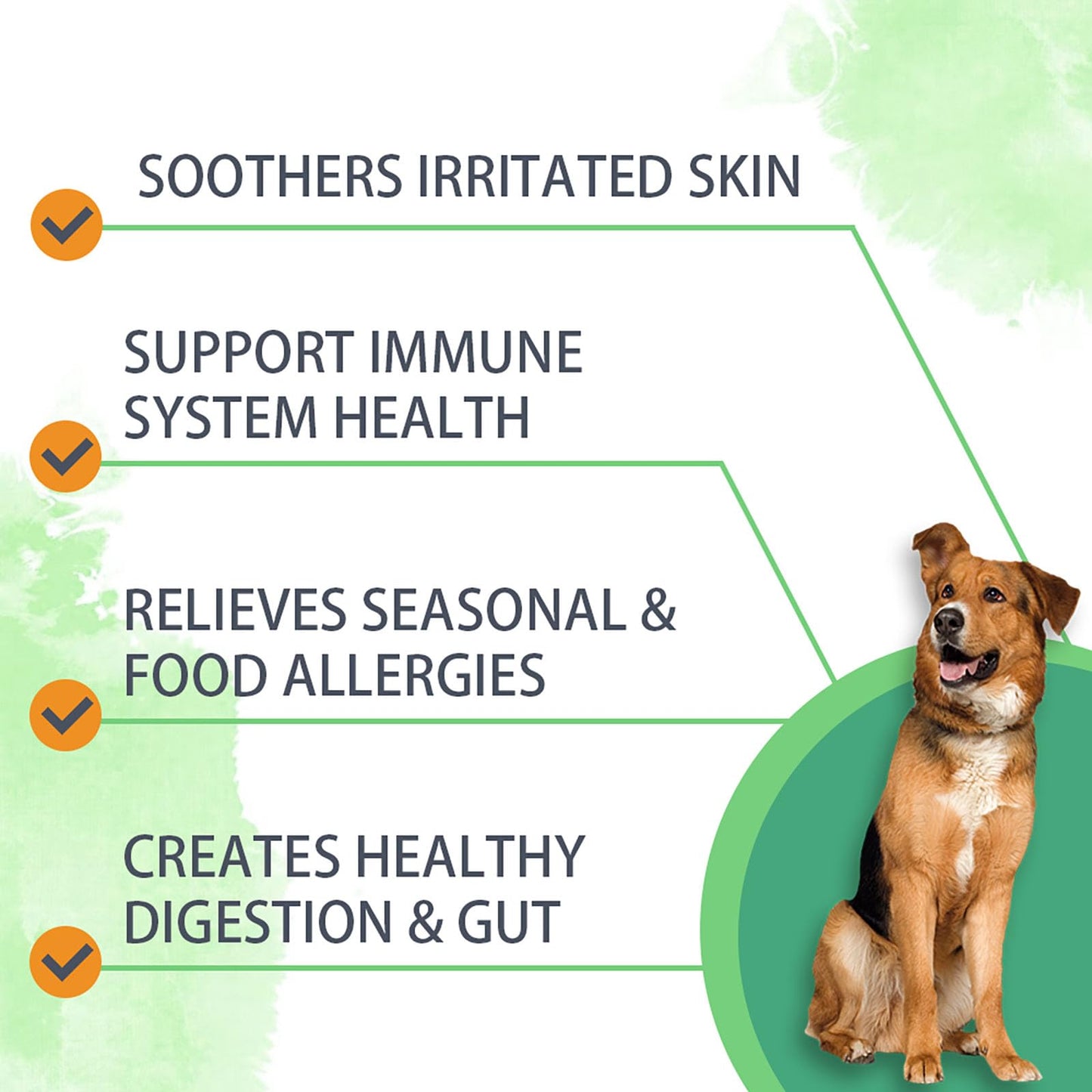 Nutridog Dog Allergy Chews 120 Count - Salmon Flavor Allergy & Itch Relief with Quercetin, 300M Probiotics | Immune Support for Itchy Skin, Hot Spots & Seasonal Allergies