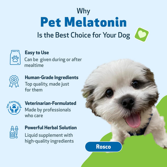 Pet Wellbeing Pet Melatonin for Dogs - Supports Adrenal Health, Cortisol Balance, Helps Maintain Normal Sleep Patterns - Veterinarian-Formulated Liquid Supplement 2 fl oz (59 ml)