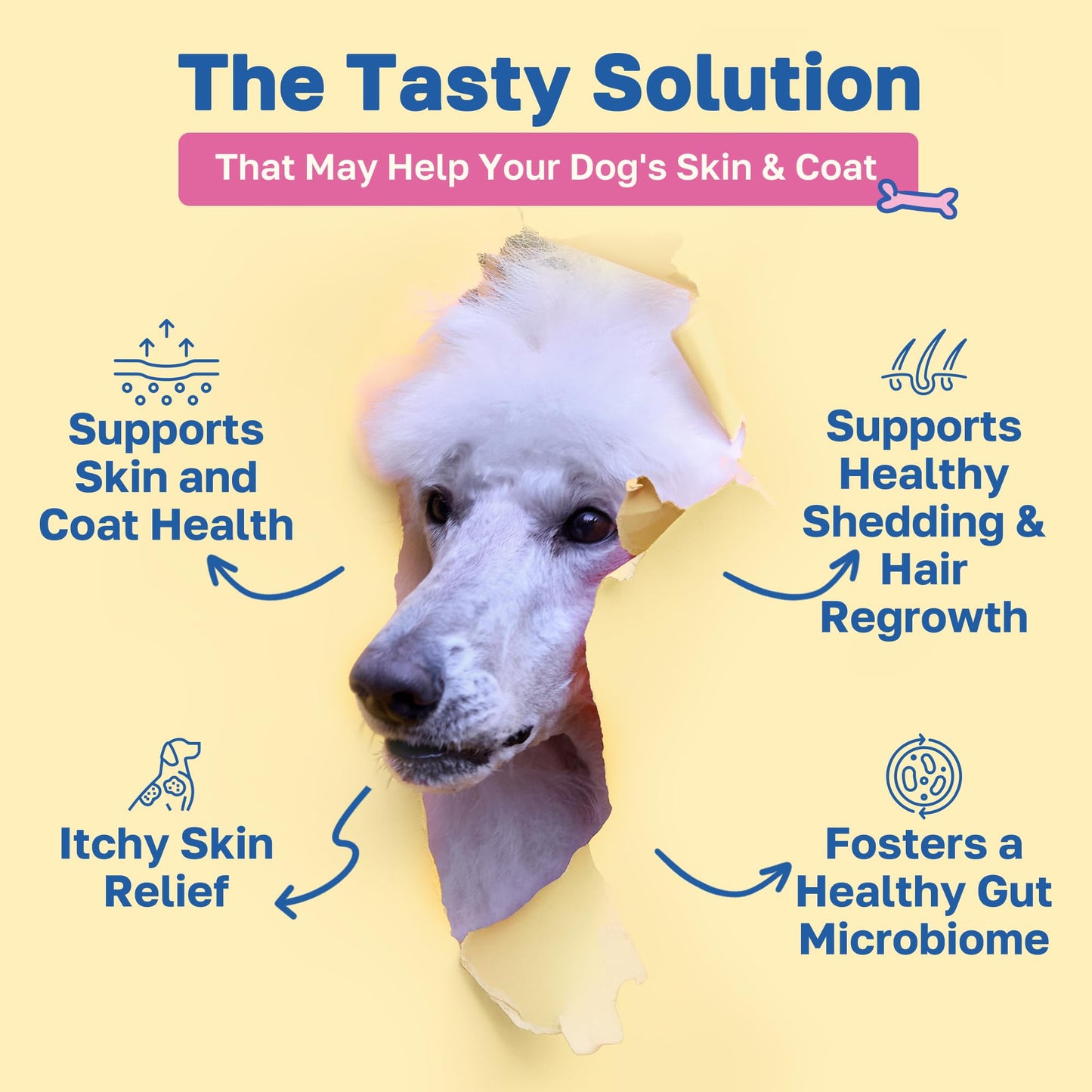 Happy Paws Skin and Coat Supplement for Dogs, Soft Chews with Biotin, Coconut Oil, Vitamins B & E, Organic Coral Calcium, P-18 Probiotics, Sweet Potato, Vegan, Organic, Chicken Flavored, 100 Count