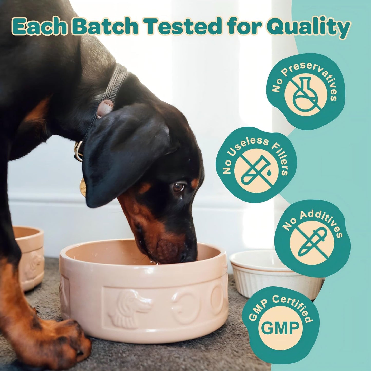 ZEBORA Probiotics for Dogs, with Colostrum, Omega-3, Dog Allergy Relief & Itching Skin Relief, Support Itchy Ears, Seasonal Allergies, Digestive, Immune Health, 90 Scoops, Chicken Flavor