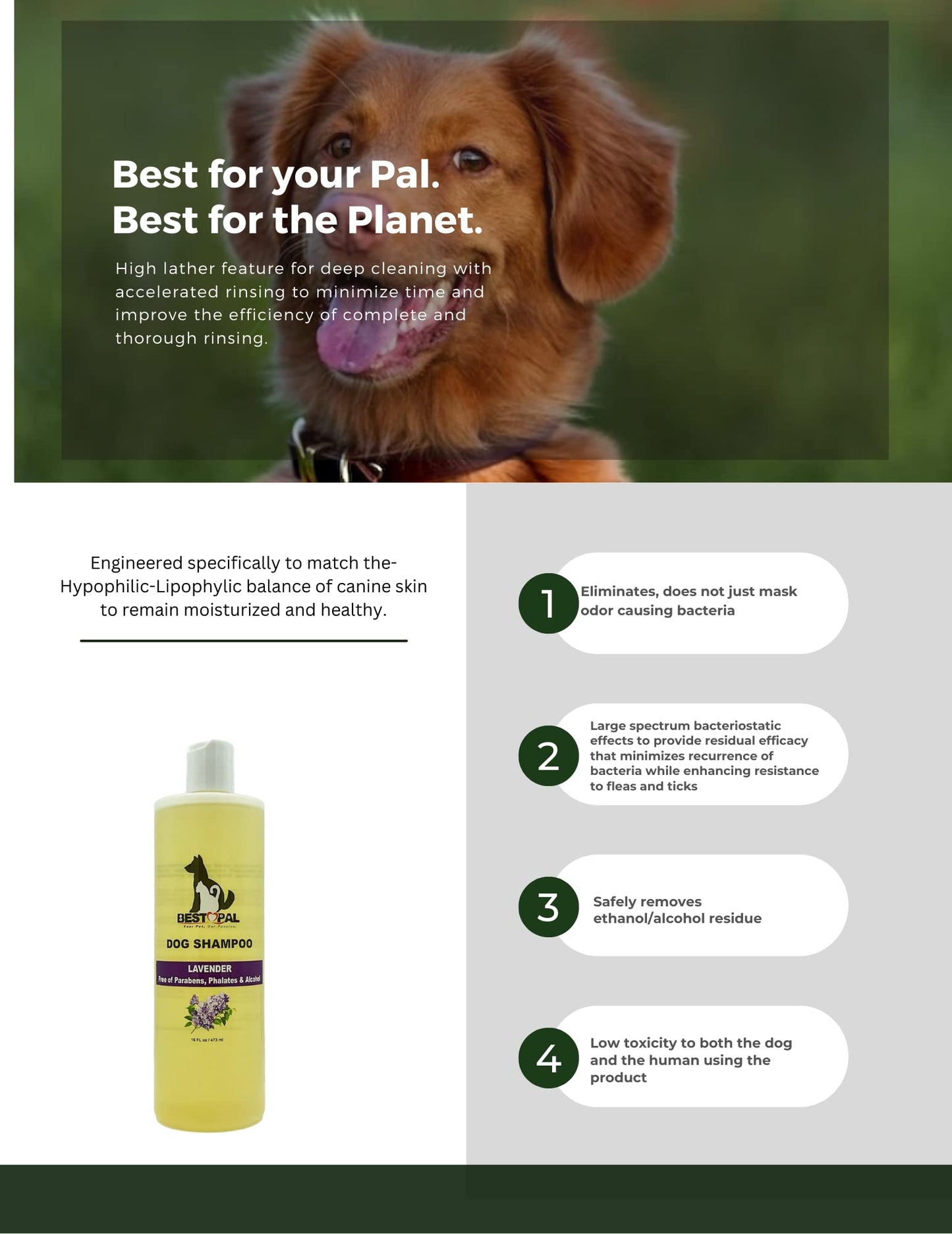 Healthy Breeds Cavachon Hypo-Allergenic Shampoo 8 oz