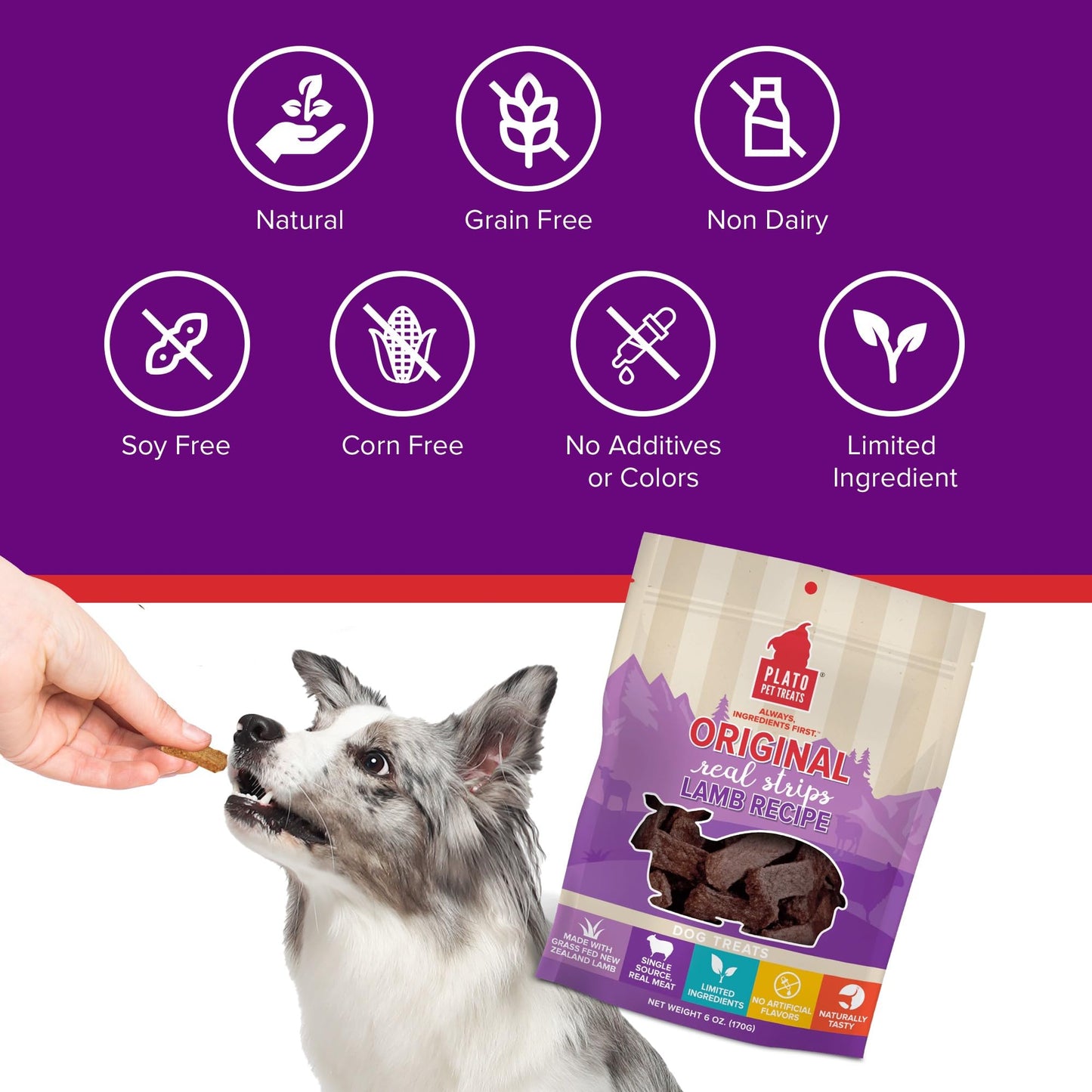 PLATO Pet Treats Real Strips - Air-Dried Meat Bars for Dogs - Delicious, Limited Ingredient Dog Treats - Grain Free - Original Real Strips Lamb 6oz