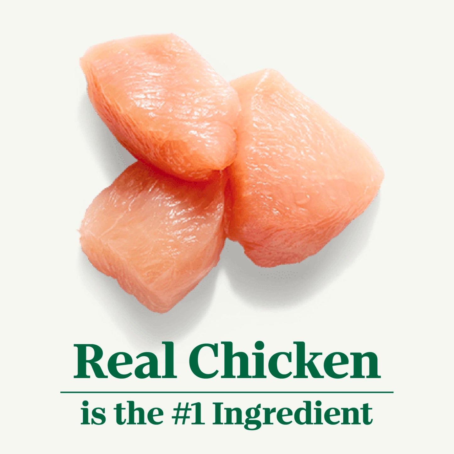 Nutro Natural Choice Puppy Dry Dog Food, Chicken and Brown Rice Recipe, 5 lbs.