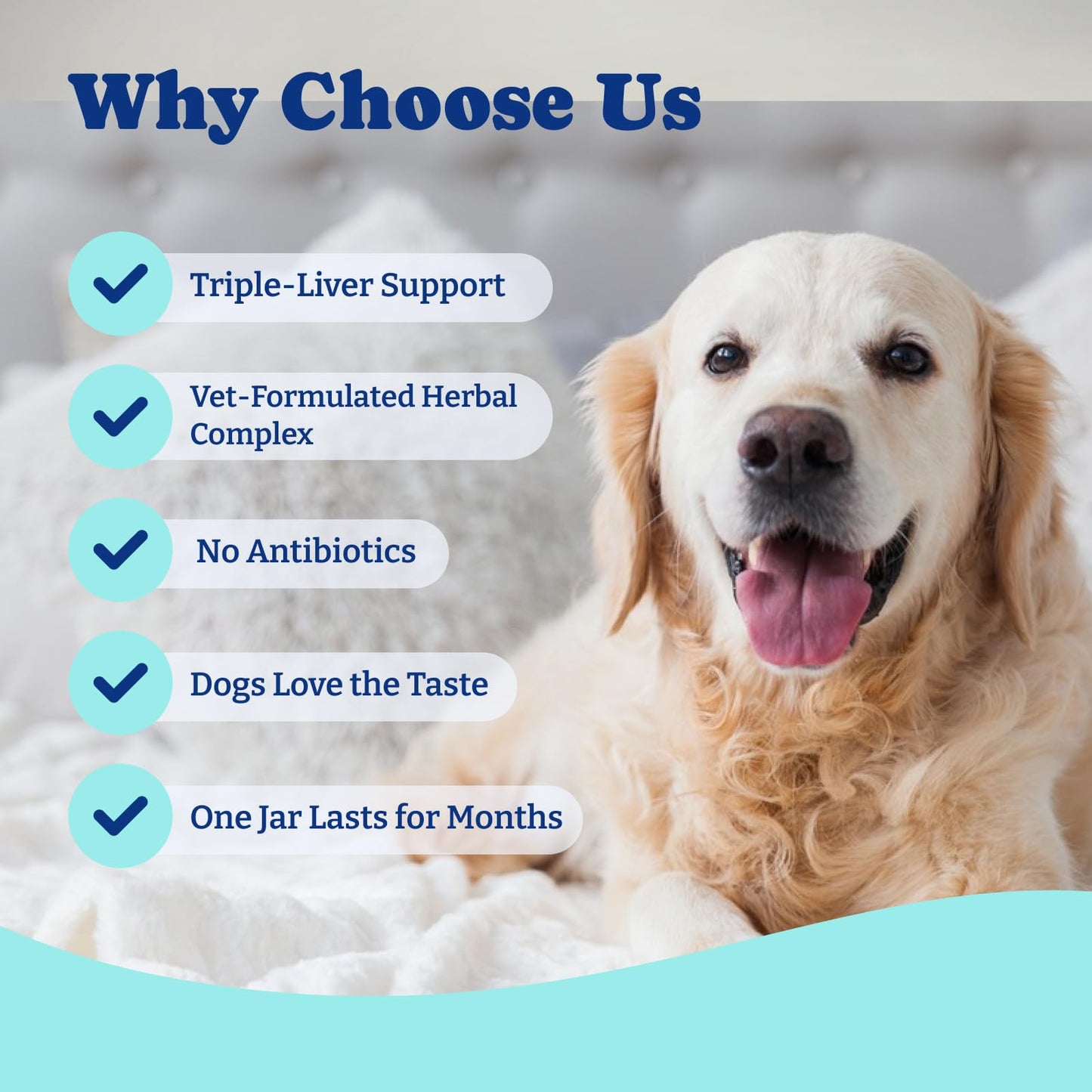 Milk Thistle Liver Support Chews for Dogs – Soft Chews with NAC, Curcumin, Choline & Dandelion – Supports Liver Function, Antioxidant Defense & Immune Health – Duck & Pear Flavor – 120 Count