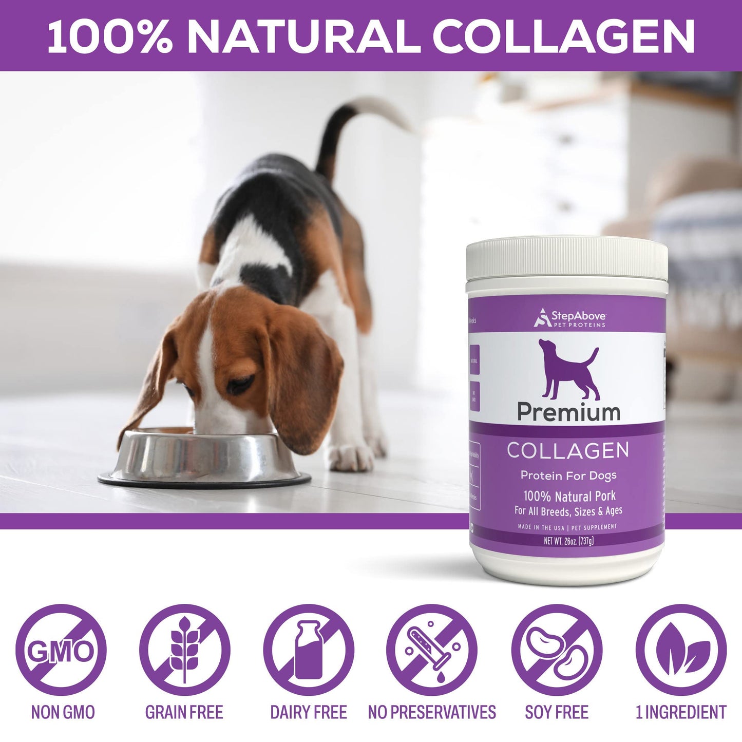 Step Above Proteins, Premium Collagen Gelatin Protein for Dogs, 1Lb 10 Oz