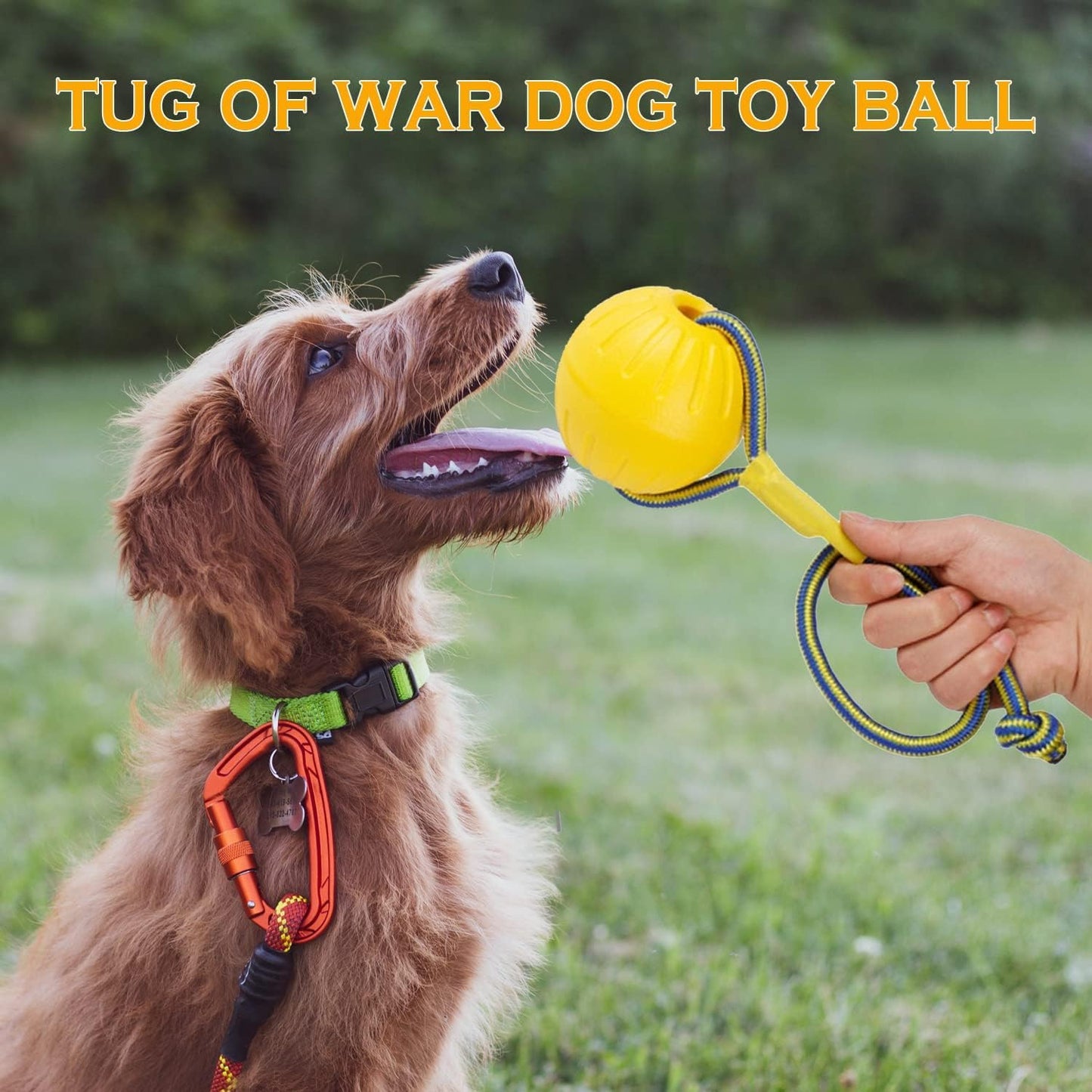 Dog Toy On a Rope, Floating Foam Ball With Rope, Tug Toy for Small Medium Large Dogs Fetch, Catch, Throw, Training (Yellow)