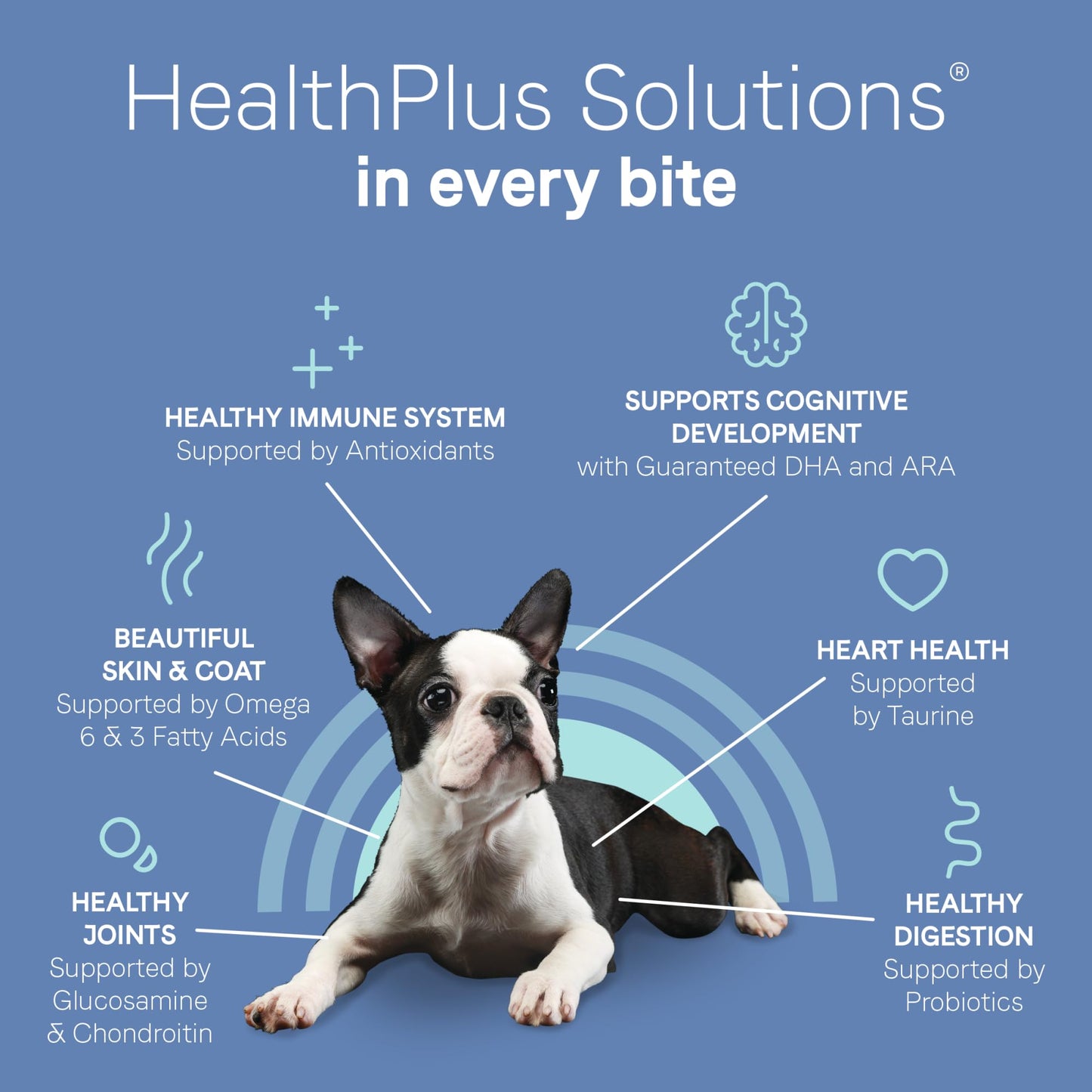 Canidae Pure Petite Premium Freeze-Dried Raw Coated Puppy Food for Small Breeds, Real Salmon Recipe, 4 lbs, Grain Free