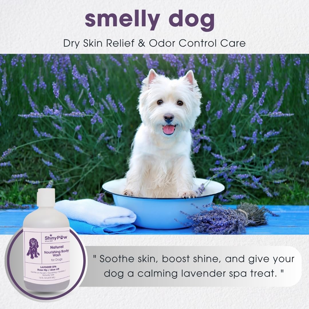Lavender Shampoo Spa Essentials Nourishing Dog Body Wash by Shiny Paw (16 oz) | Anti Itch Shampoo for Dogs | Dog Bath Coat Cleansing for Dogs | Made in The USA