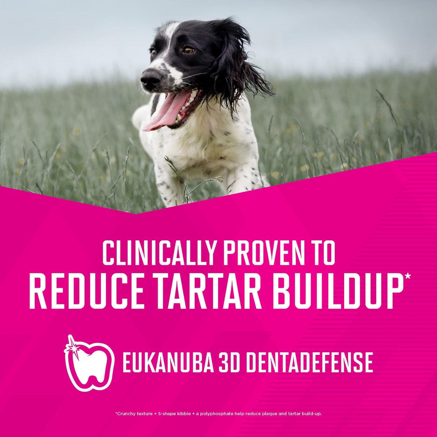 Eukanuba Fit Body Weight Control Medium Breed Dry Dog Food, 28 lb