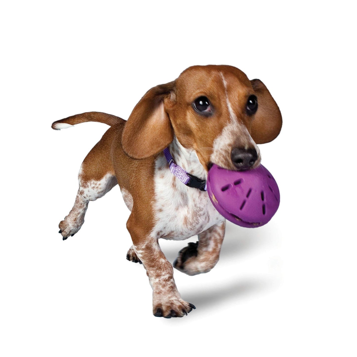 PetSafe Busy Buddy Twist'n Treat - BPA-Free Adjustable Meal Dispenser & Training Toy - Interactive Enrichment for Hard Chewers - Compatible with Hard & Smearable Treats - Helps Clean Teeth - Small