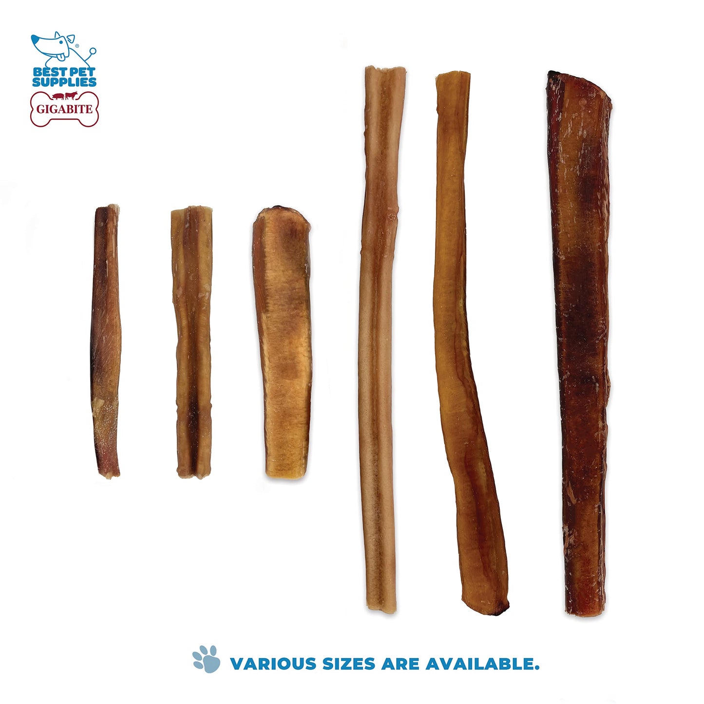 Best Pet Supplies GigaBite 6 Inch Bully Sticks (8 Pack) - All Natural, Free Range Beef Pizzle Dog Treat