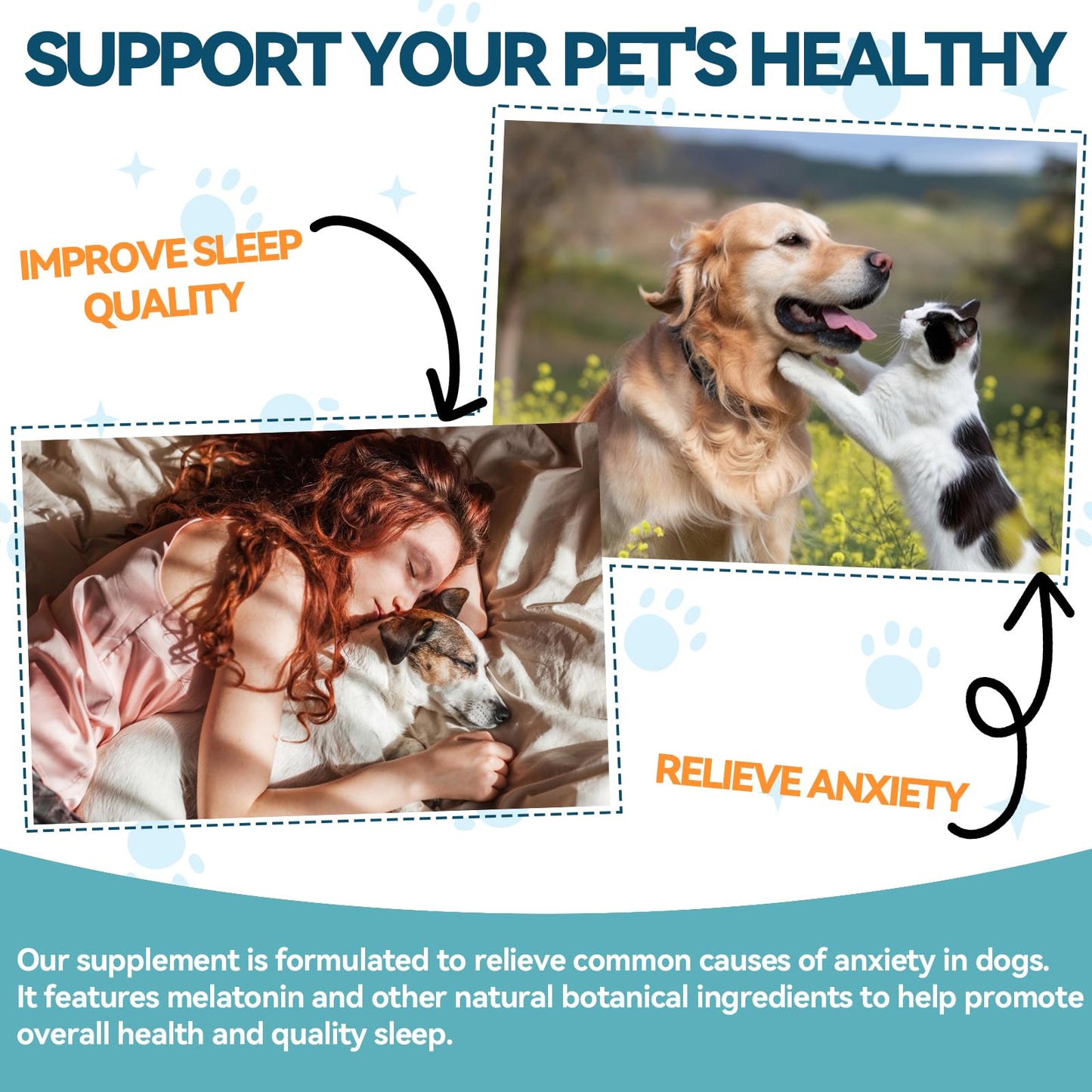 Melatonin for Pets, Dog Melatonin, Dog Sleep Supports, Melatonins for Cats, Supports Relaxation Dogs & Cat, Calm Behavior in Dogs, Helps Restful Sleep, Chicken Flavor 60ml