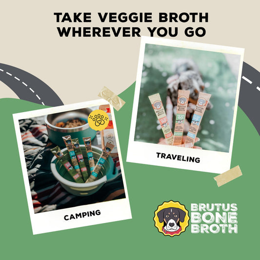 Brutus Broth Instant On The Go Vegetable Powder for Dogs - Vegetable Powder with Omegas 3, 6 & 9 & Turmeric - Human Grade Food Toppers for Dry Food & Picky Eaters - 5 Stick (Salmon Flavor)