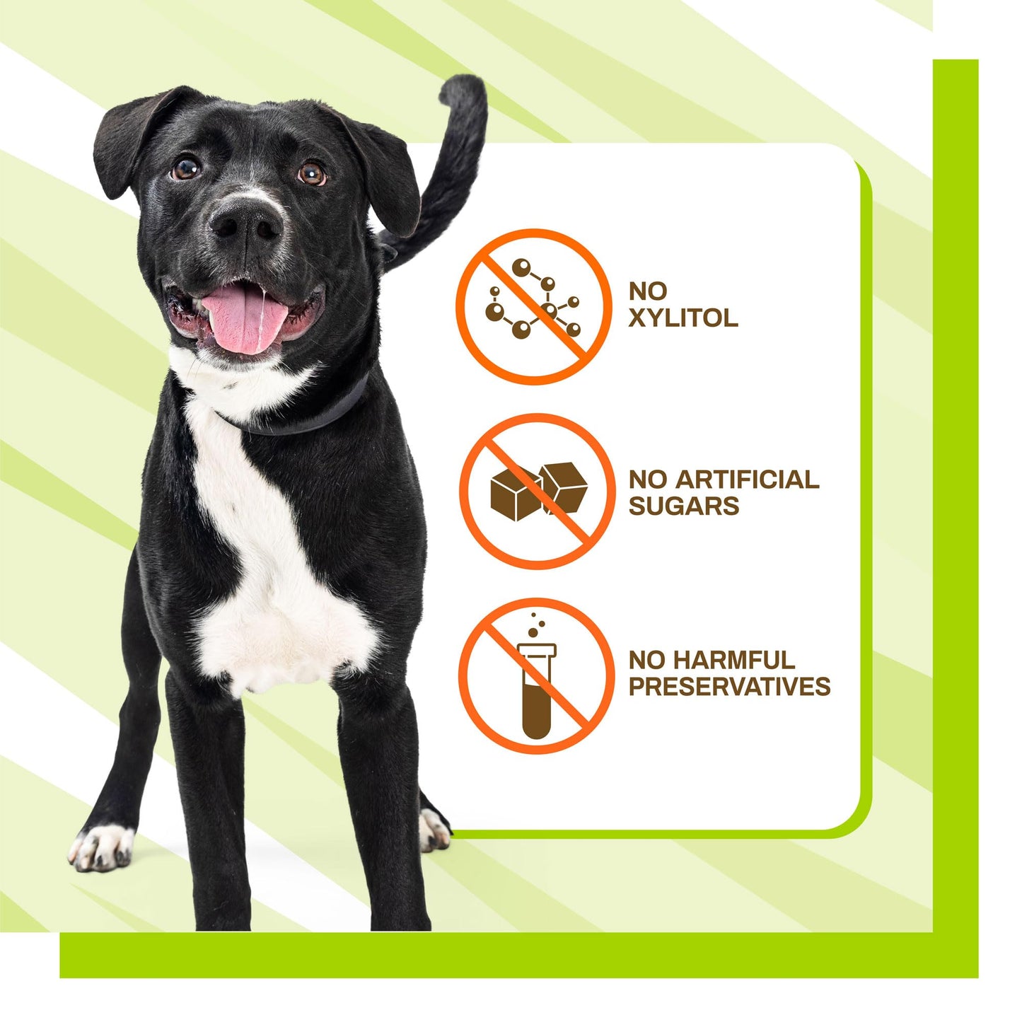 Pet Naturals BusyButter Balanced Belly Peanut Butter Bones, Rawhide-Free Chews for Small Dogs, Long Lasting Chew Bones, Probiotics and Pumpkin for Gut Health, 22 Count