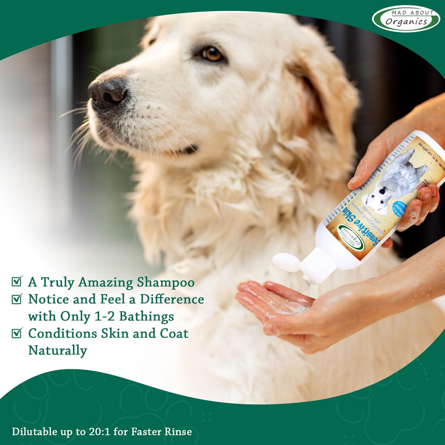 Mad About Organics Dog Shampoo for Sensitive Skin - Lanolin-Enriched Formula - pH Balanced to Support Natural Oils - Light Citrus Scent - Suitable for All Dogs - Moisturizes and Softens Coats - 16 oz