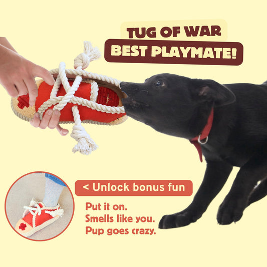 Pawfoo Lab 2 Pack No Stuffing Squeaky Dog Toys for Small, Medium and Large Dogs - Interactive Tug of War Puppy Chew Snuffle Toy, Dog Birthday for Dog Presents - Shoe