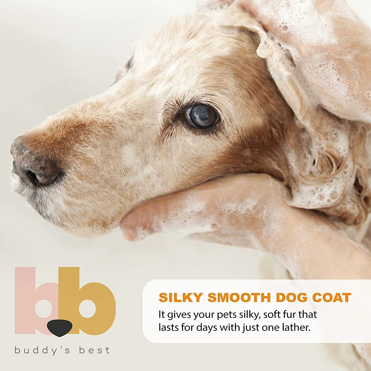 Dog Shampoo for Dry and Itchy Skin Made in The USA by Rockwell Pets Pro (16 fl oz) ideal paw cleaner for dogs with Aloe Vera Argan Oil Natural Willow Meadowsweet Chaparral and Olive Extracts